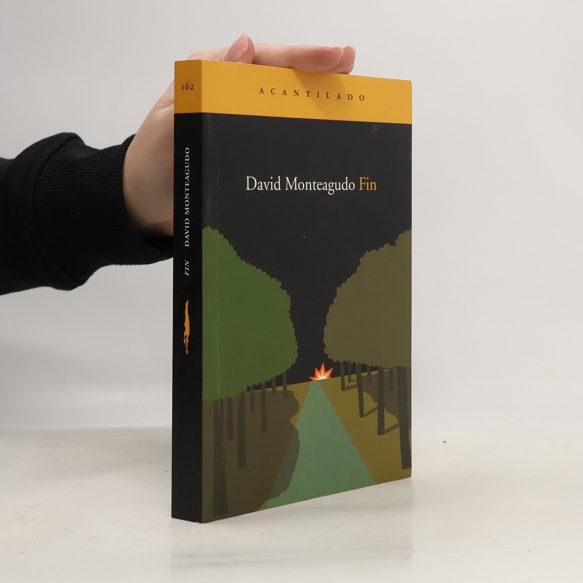 David Monteagudo Fin