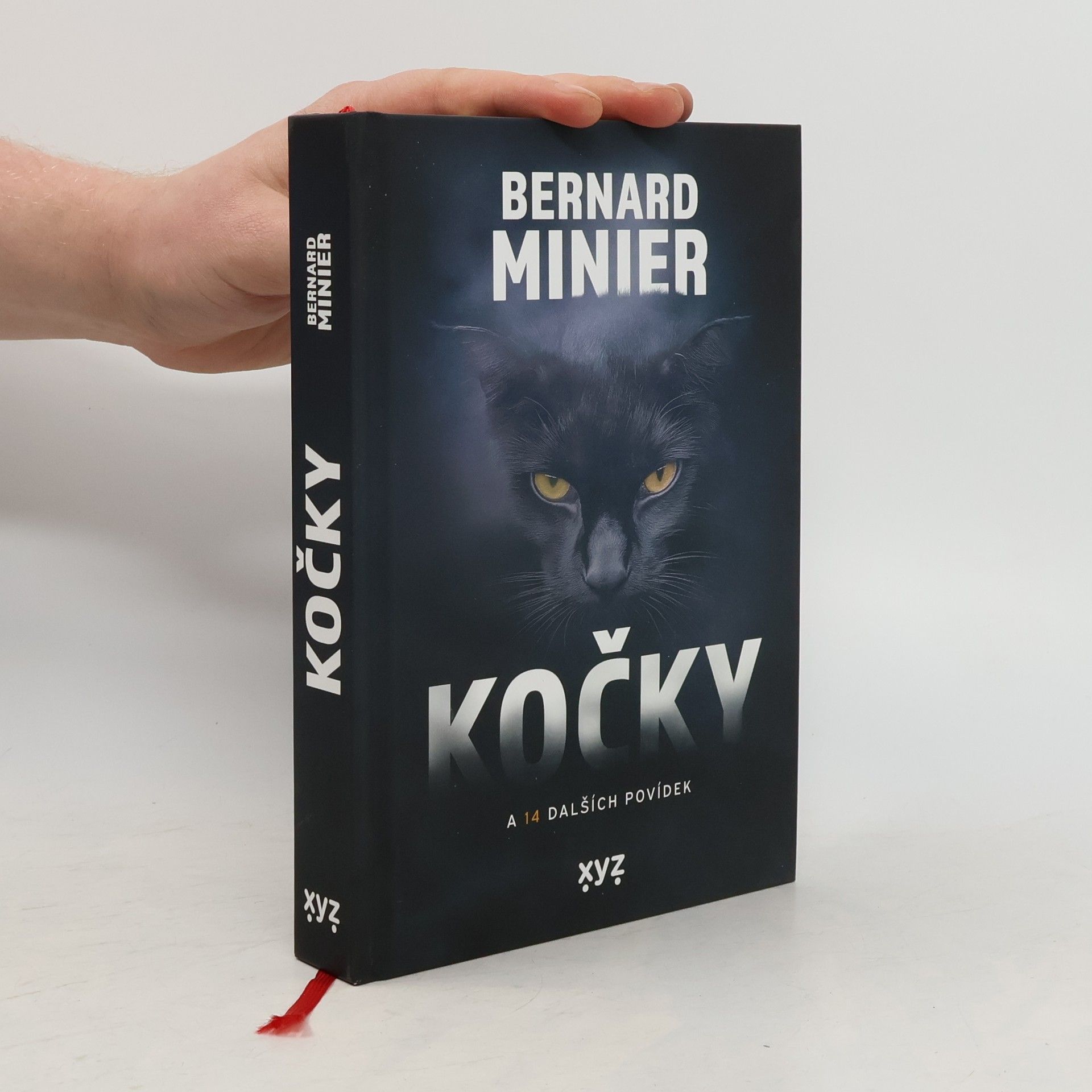 Bernard Minier Kočky