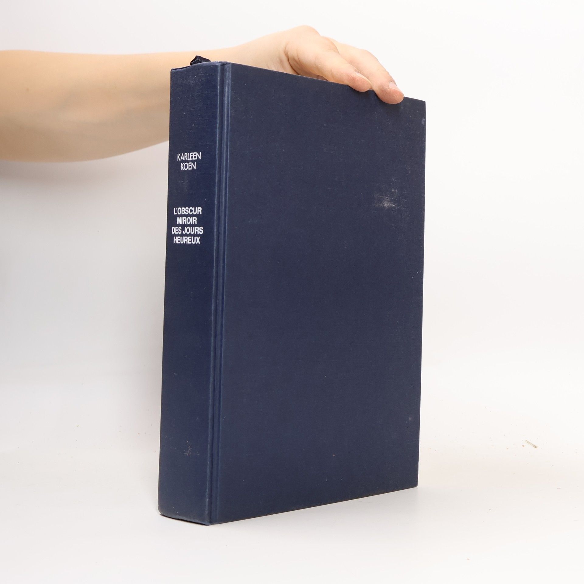 Karleen Koen L'obscur miroir des jours heureux