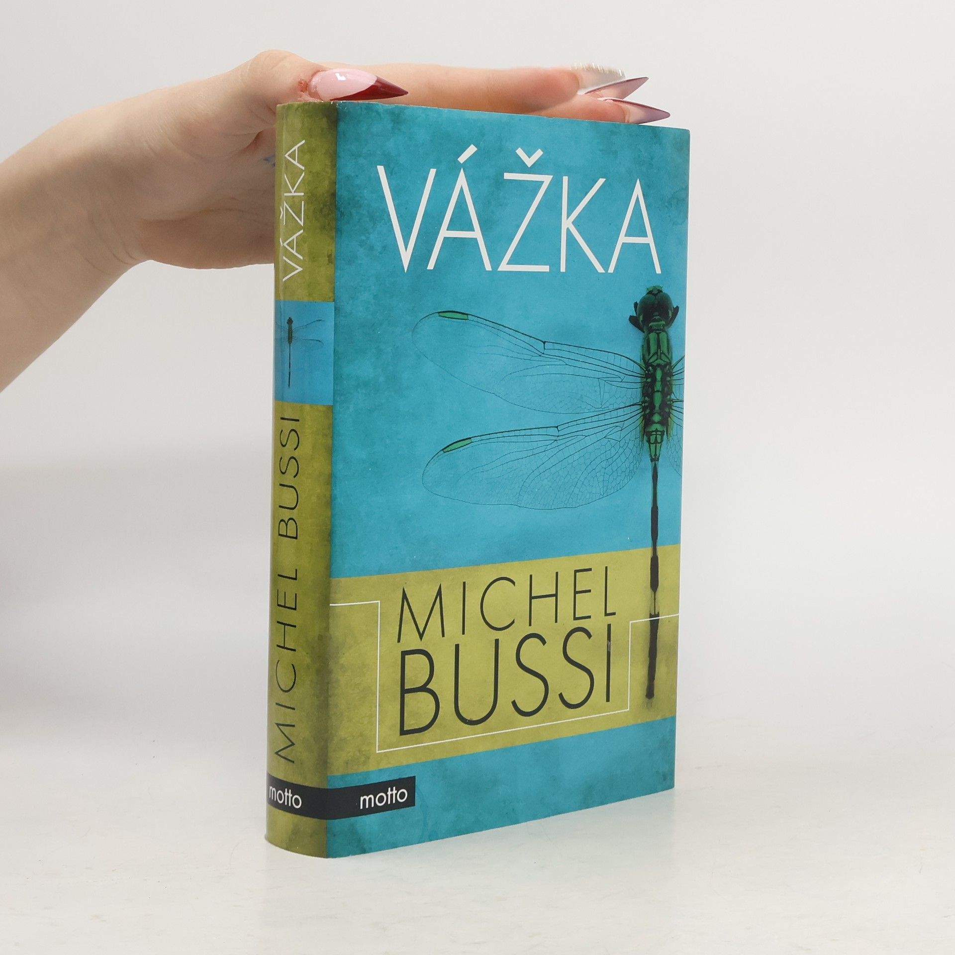 Michel Bussi Vážka