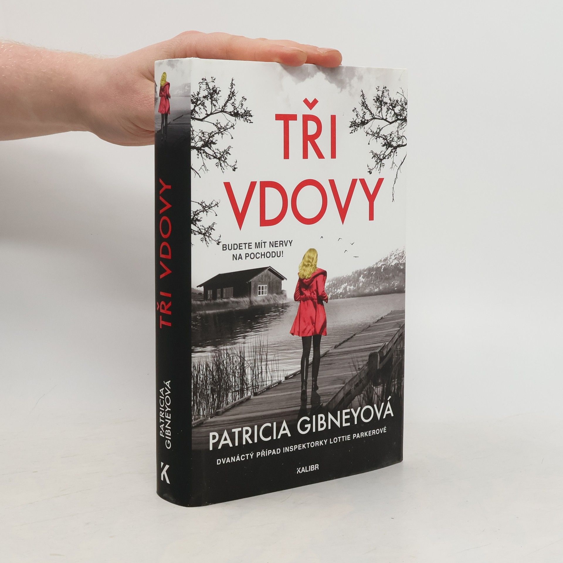 Patricia Gibney Tři vdovy