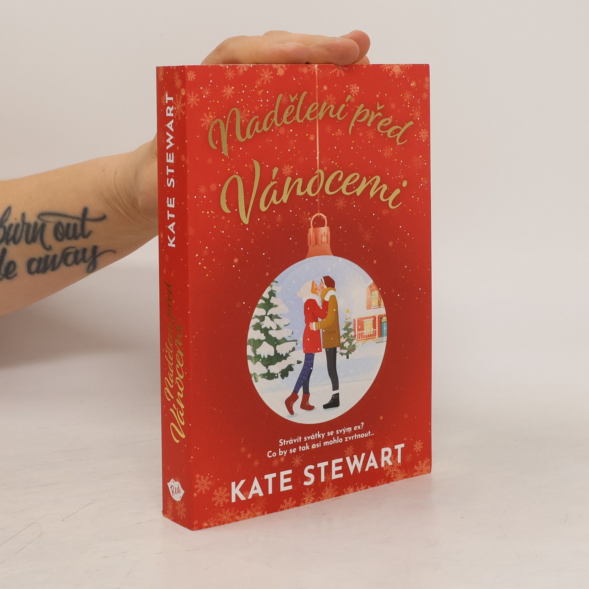Kate Stewart Nadělení před Vánocemi
