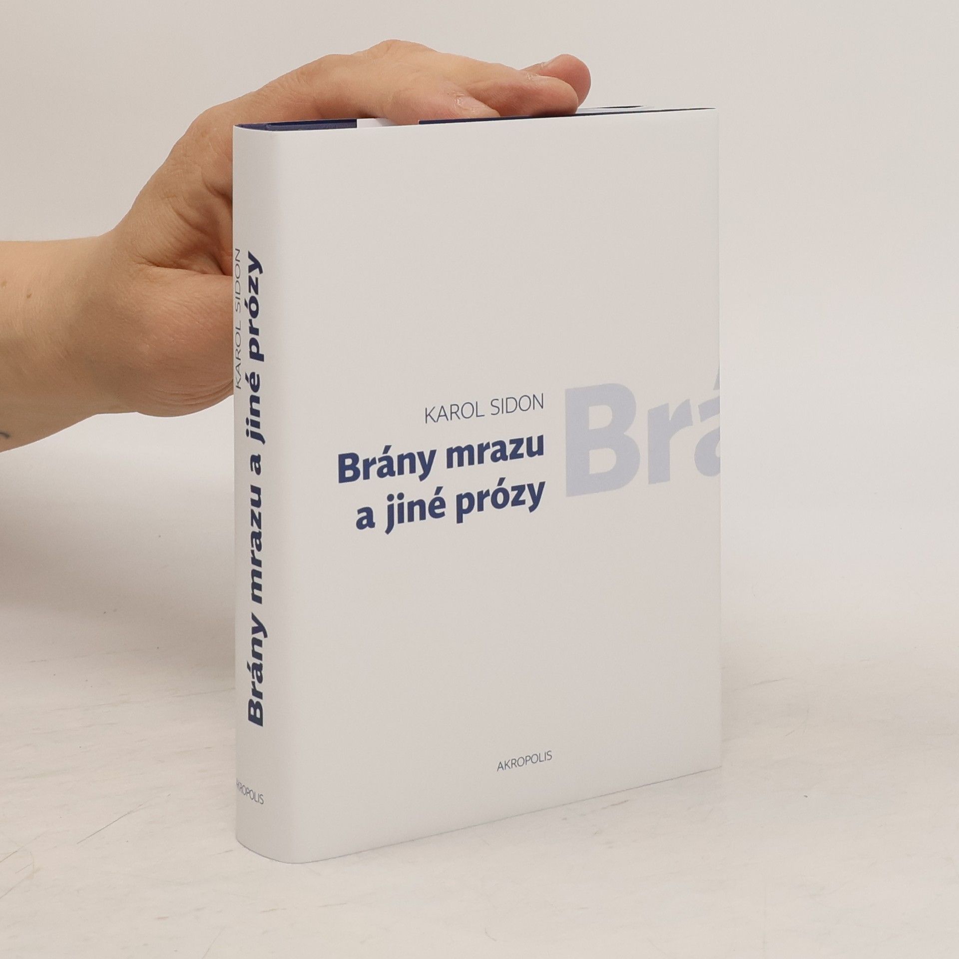 Karol Sidon Brány mrazu a jiné prózy