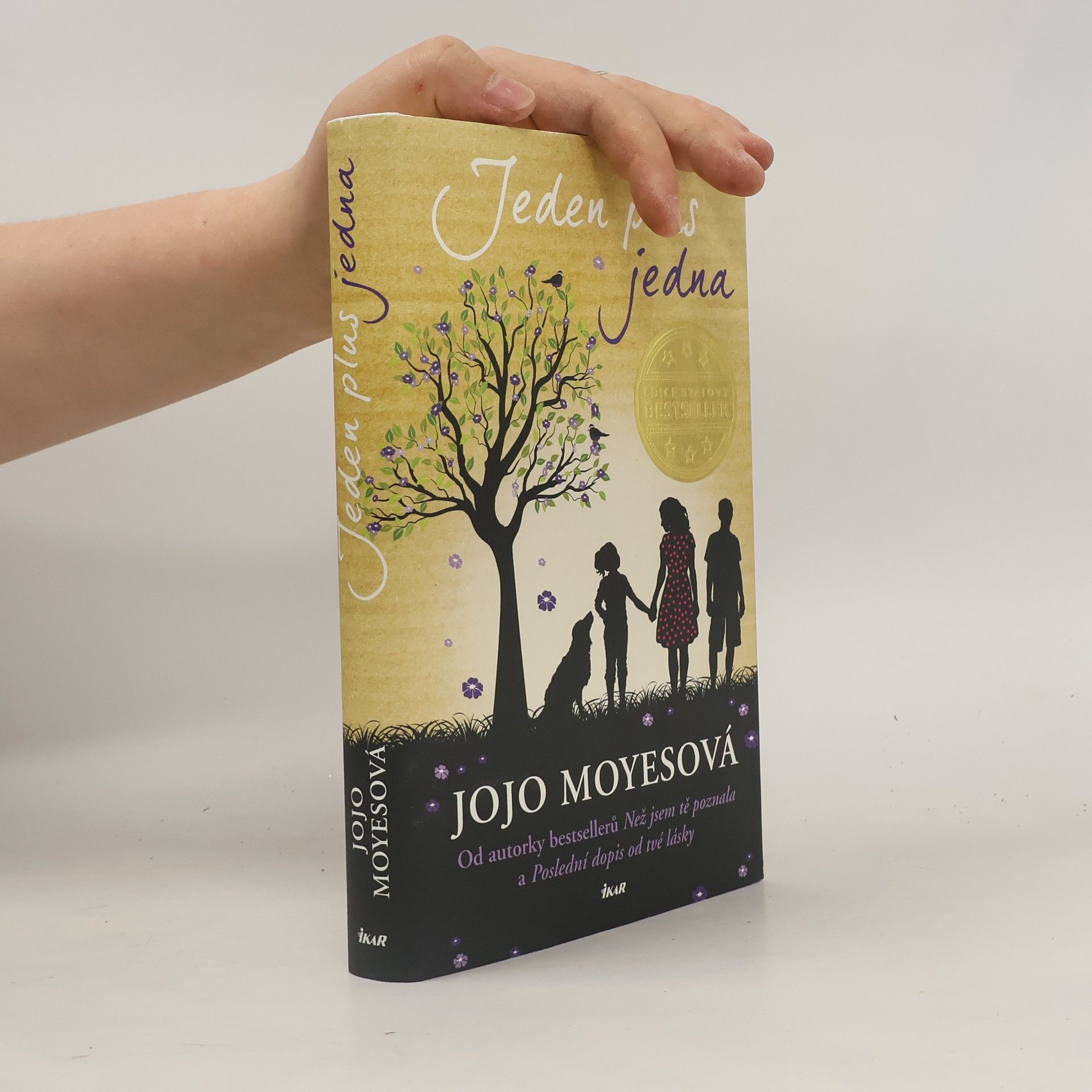 Jojo Moyes Jeden plus jedna