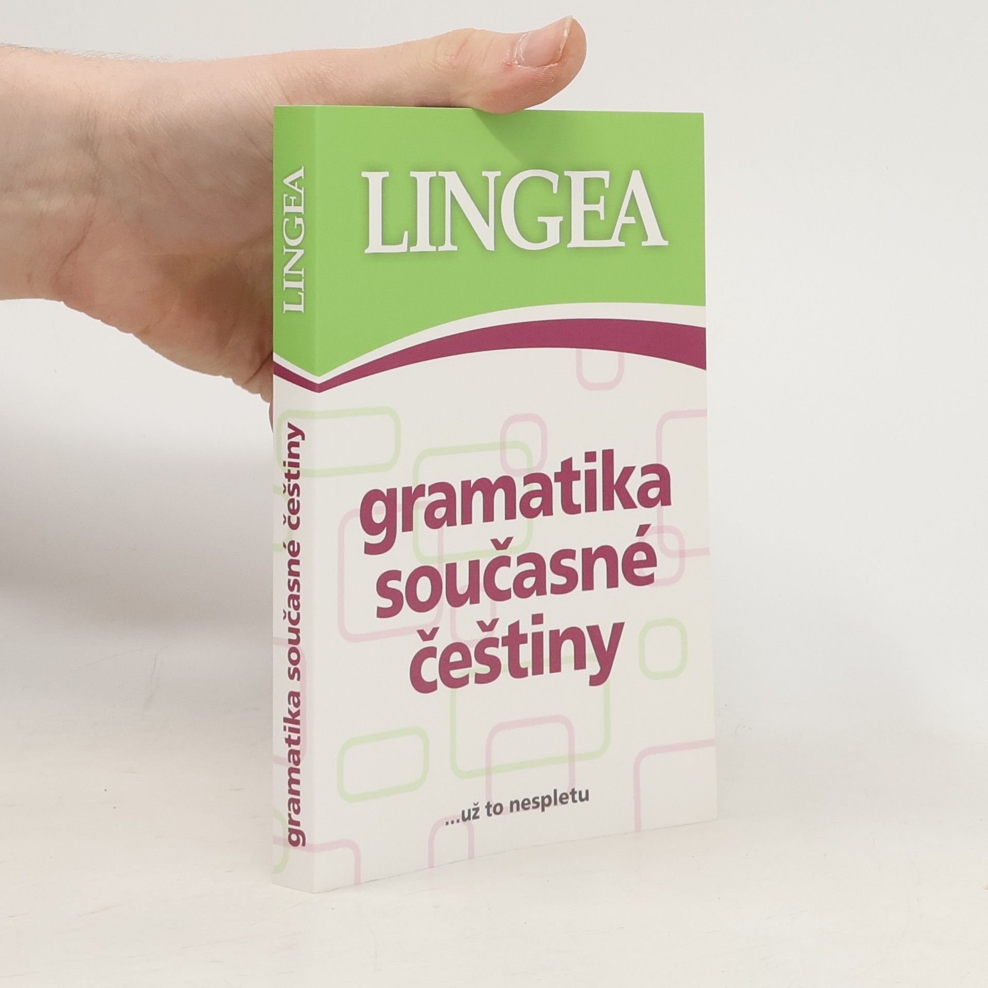 Kolektív autorov Gramatika současné češtiny