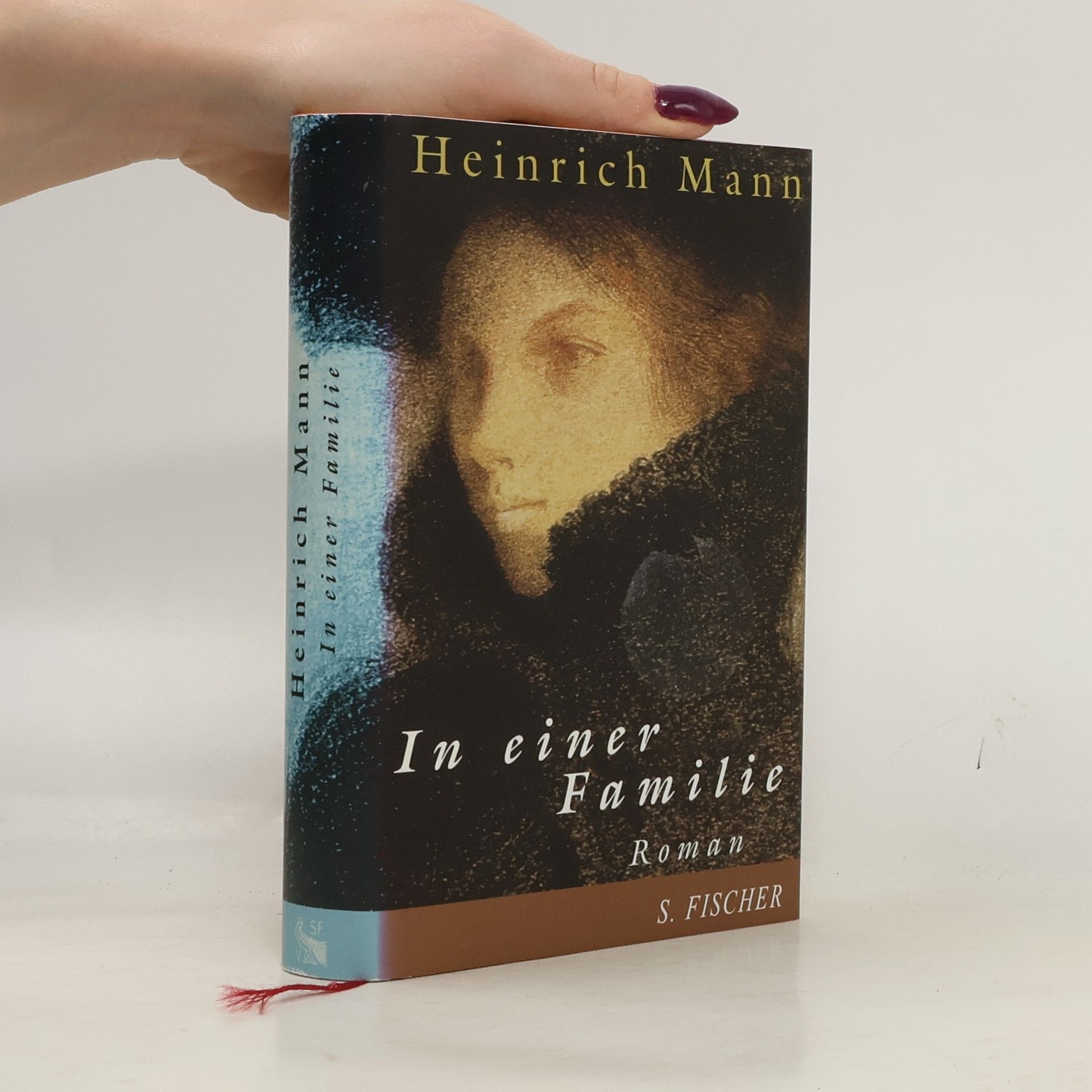 Heinrich Mann In einer Familie