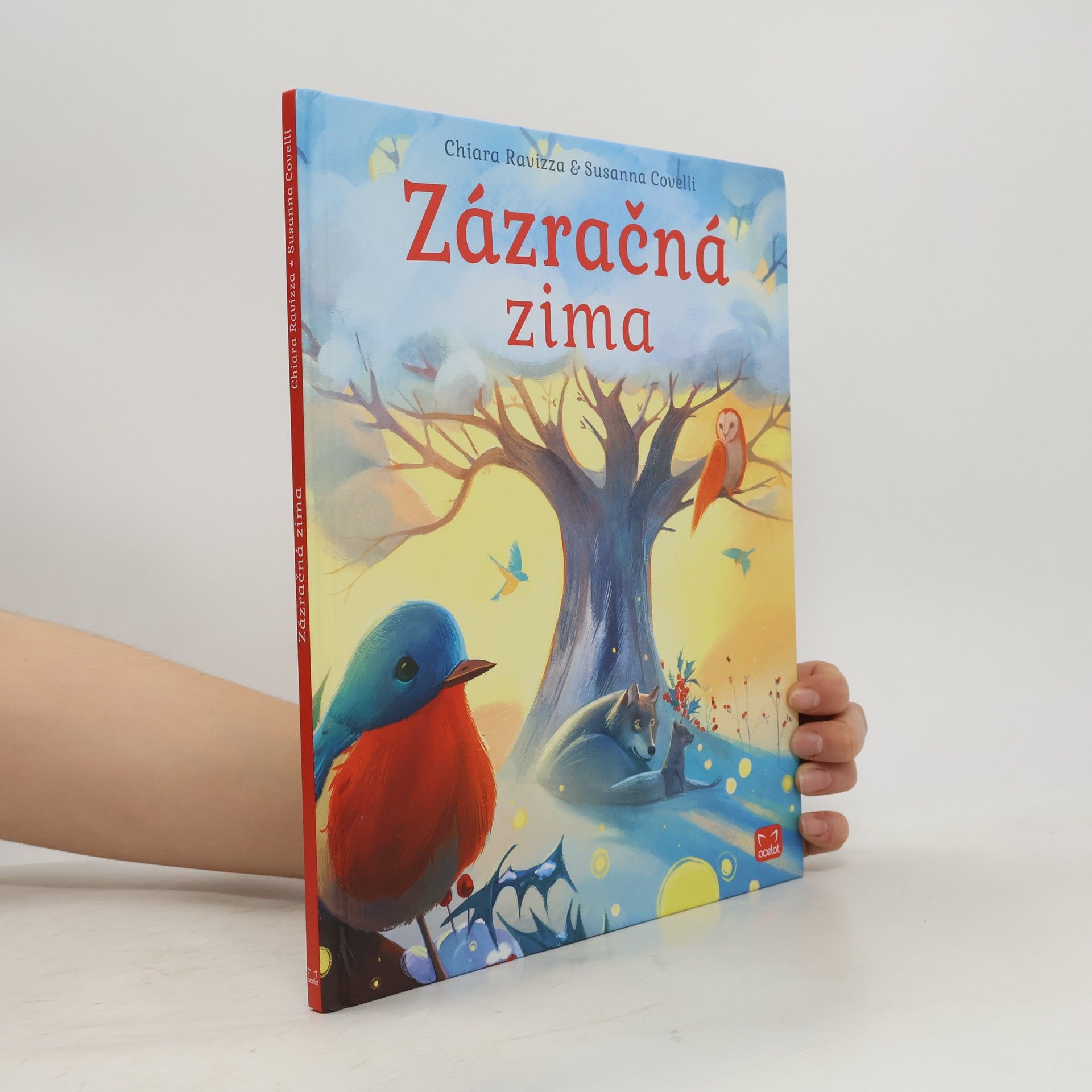Chiara Ravizza Zázračná zima