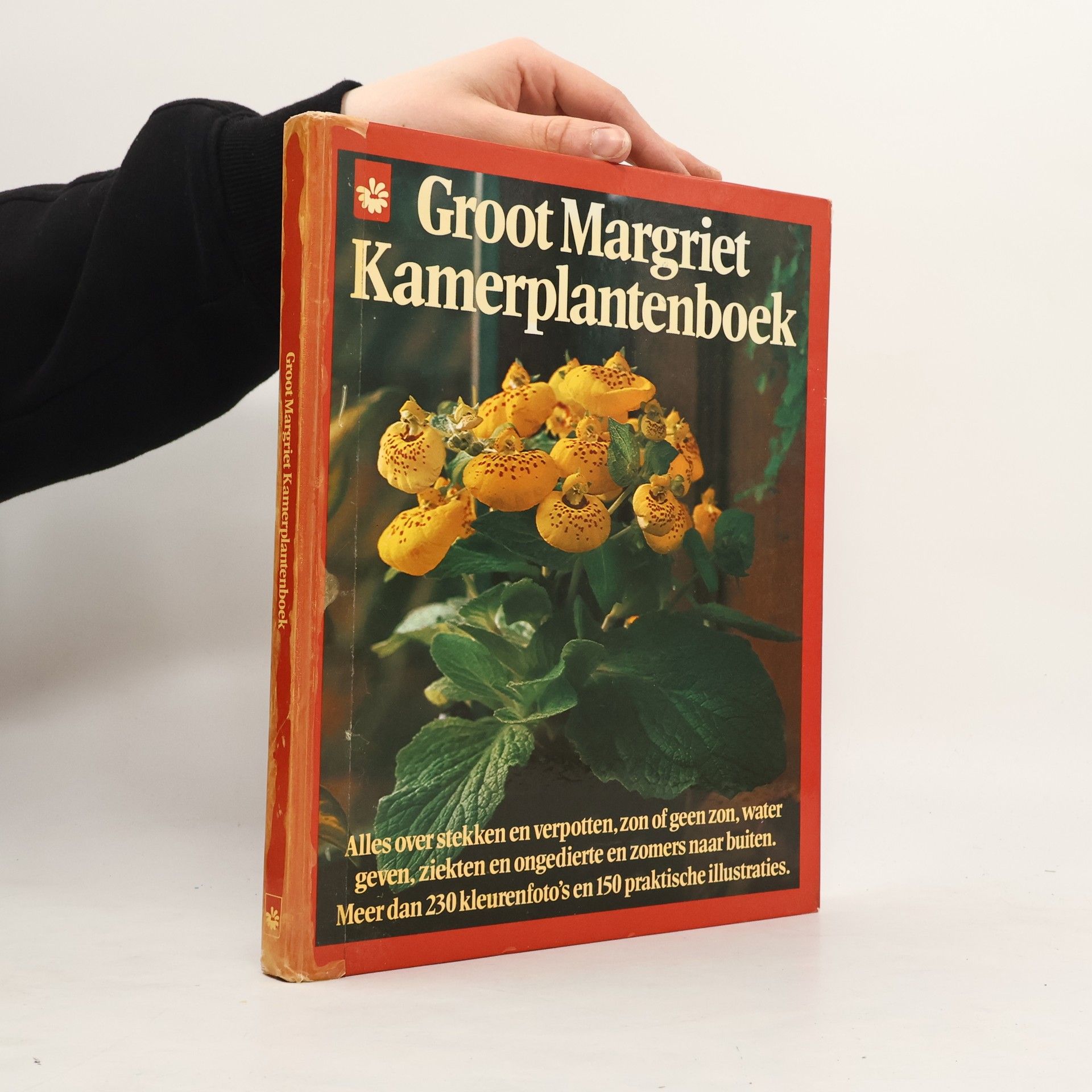 Various authors Groot Margriet Kamerplantenboek