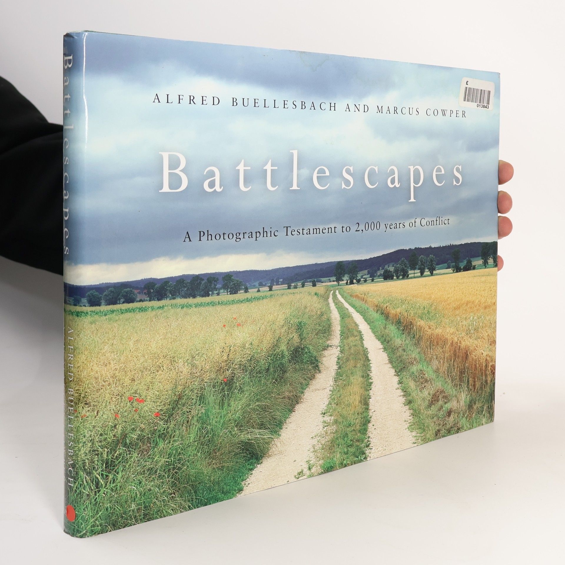 Alfred Büellesbach Battlescapes