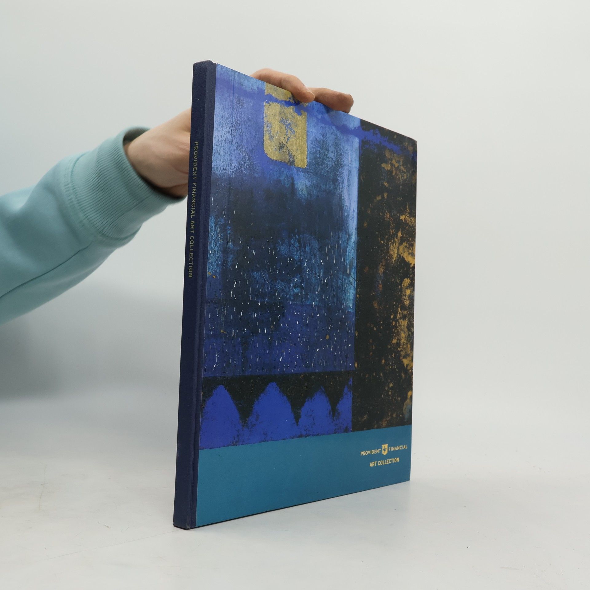Kolektiv autorů Provident Financial Art Collection