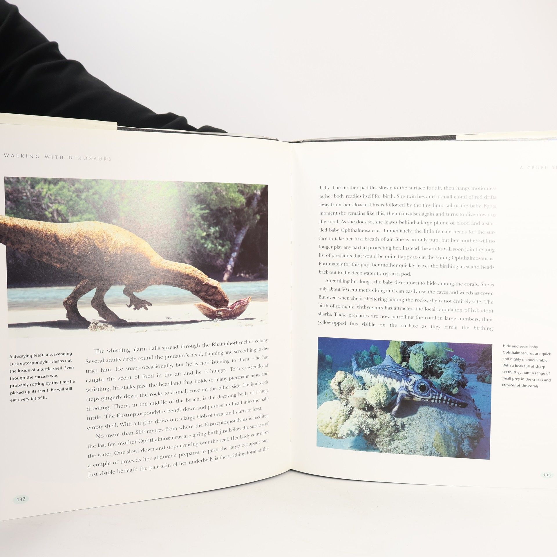 Tim Haines Walking with Dinosaurs