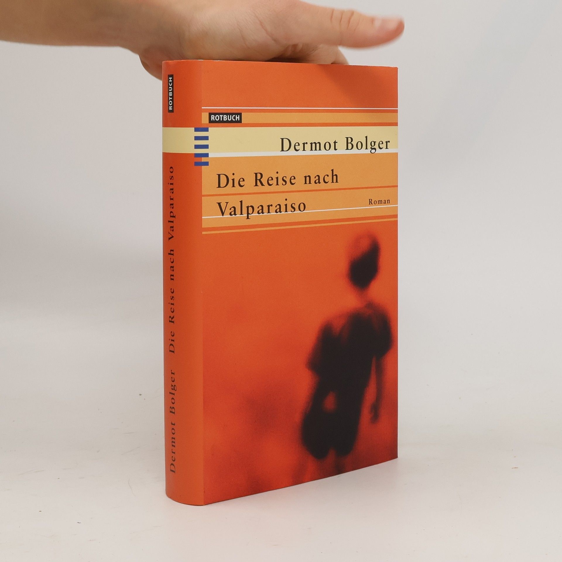 Dermot Bolger Die Reise nach Valparaiso