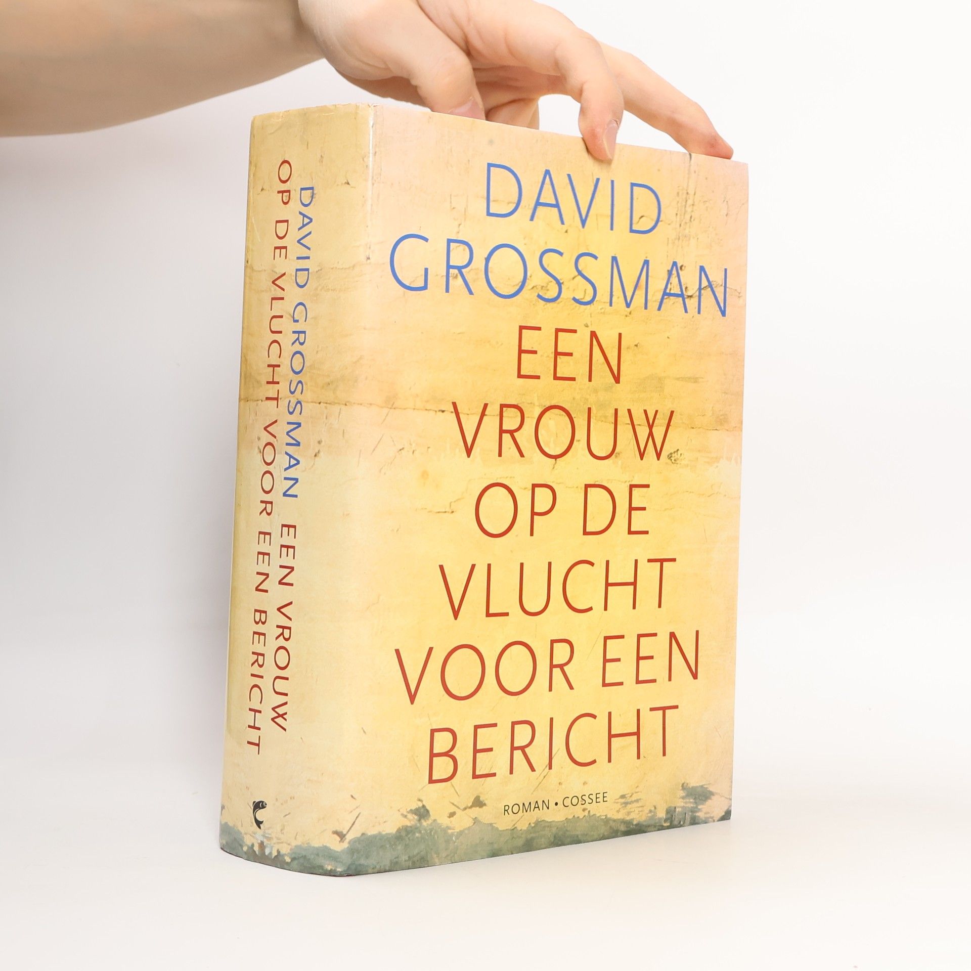 David Grossman Een vrouw op de vlucht voor een bericht