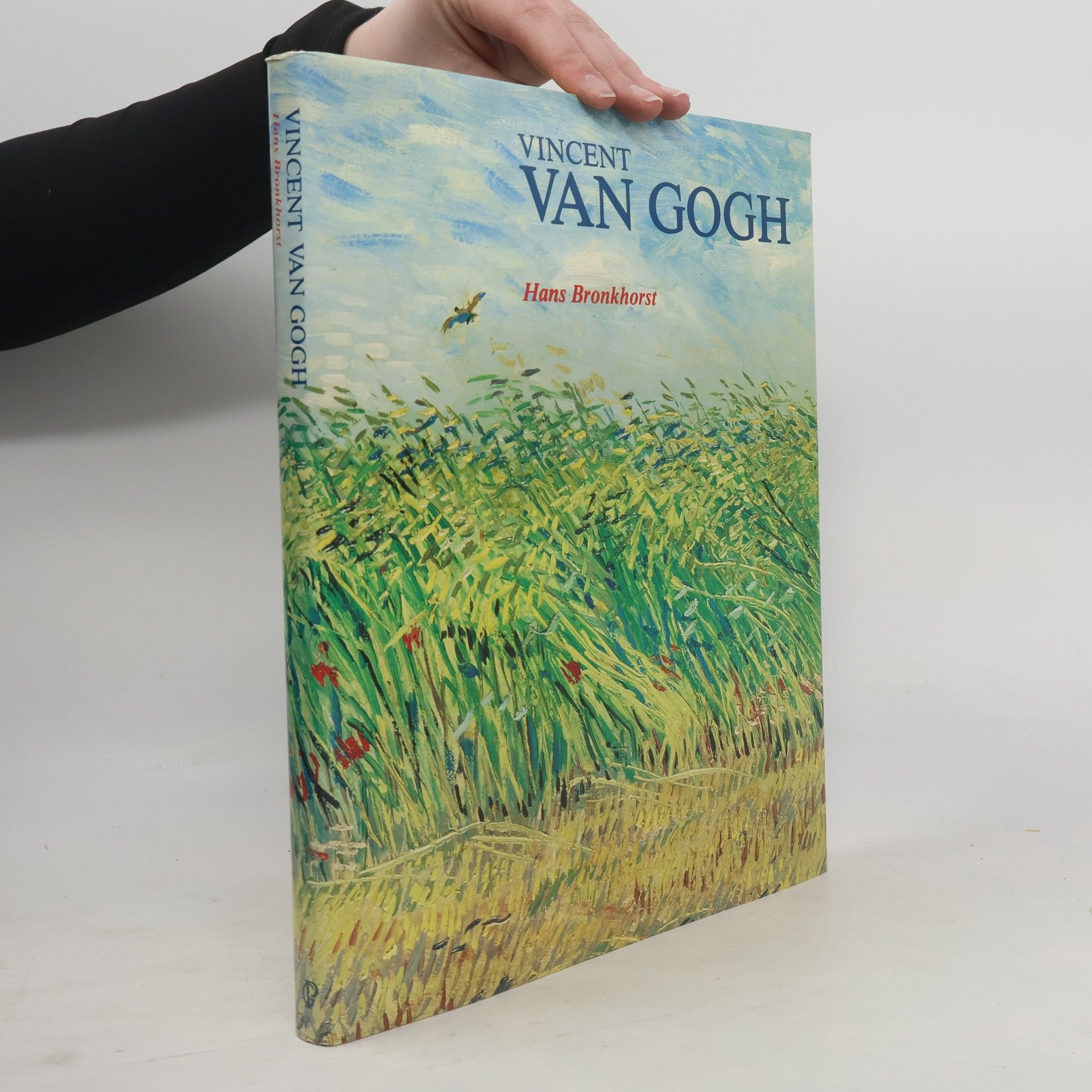 Hans Bronkhorst Vincent van Gogh