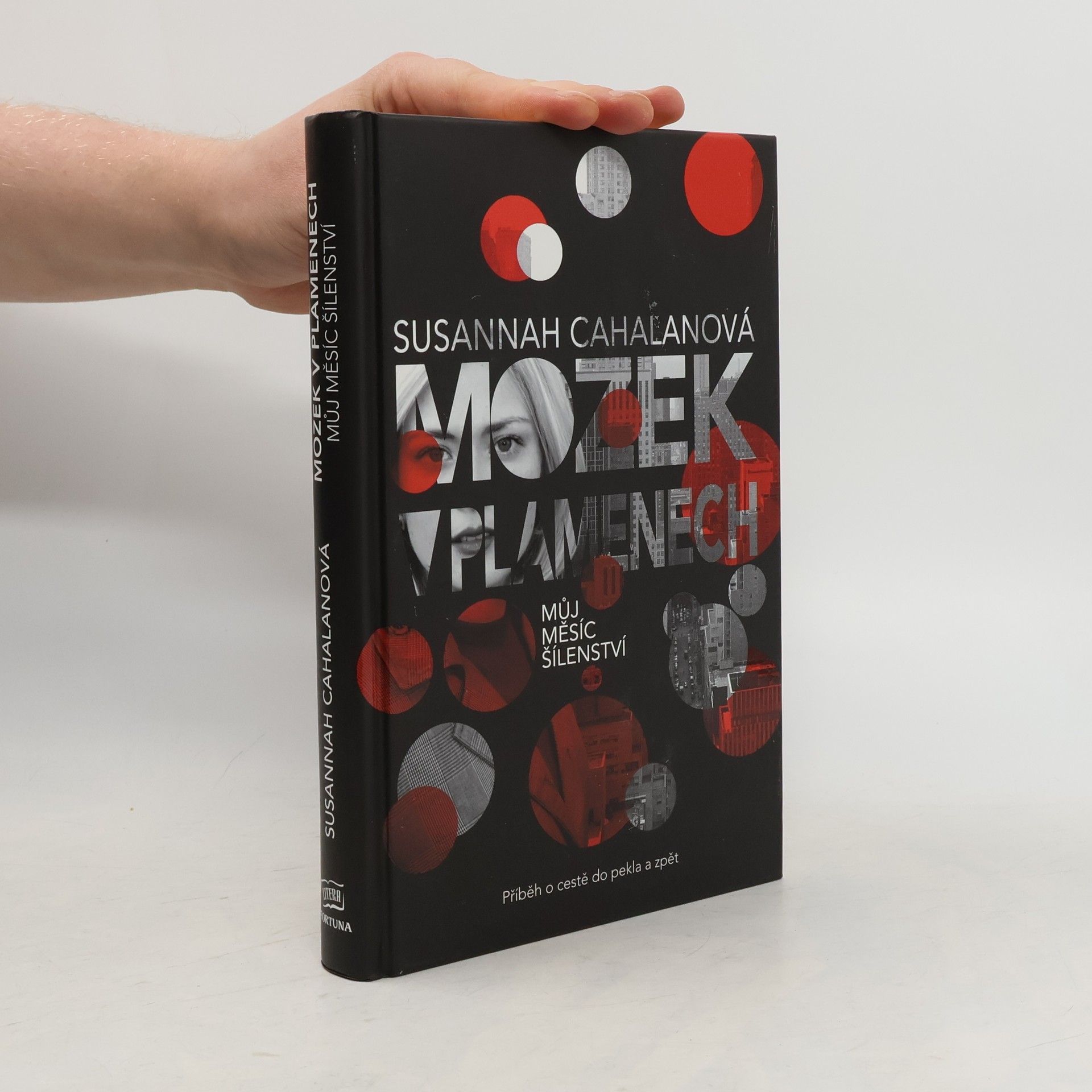 Susannah Cahalan Mozek v plamenech : můj měsíc šílenství