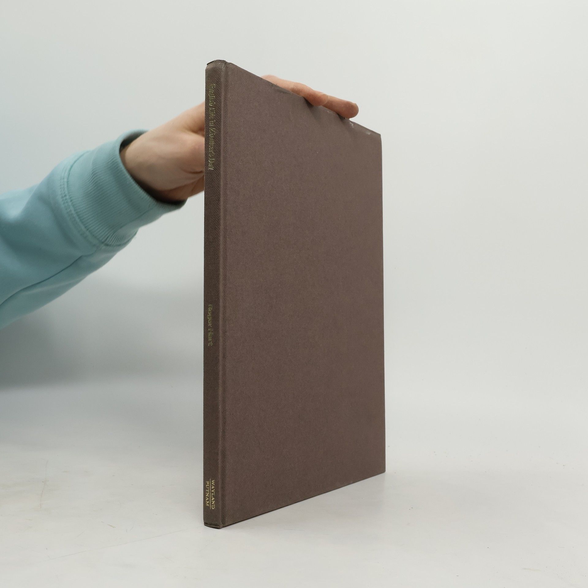 Roger M. Hart English Life in Chaucer's Day