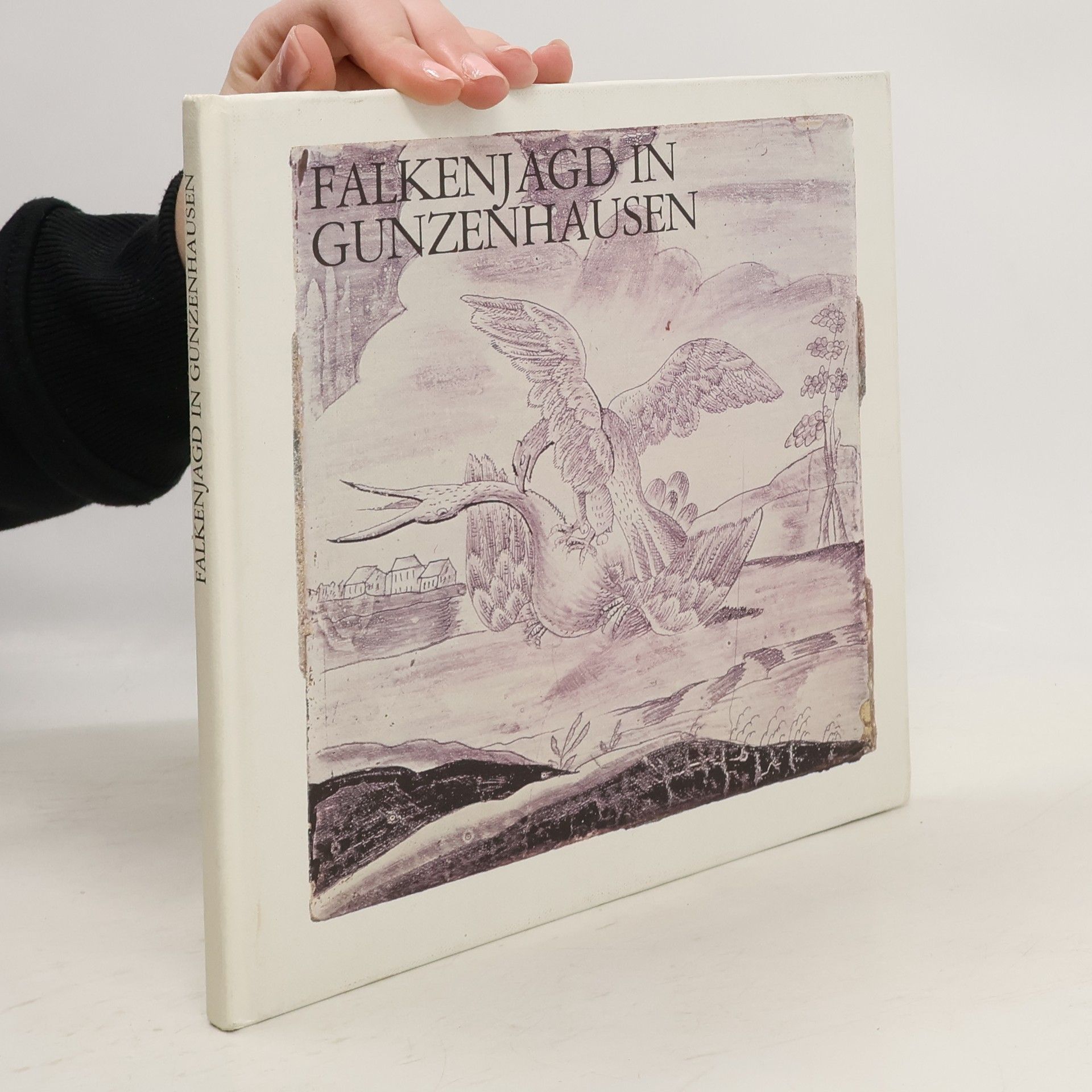 Autorenkollektiv Falkenjagd in Gunzenhausen