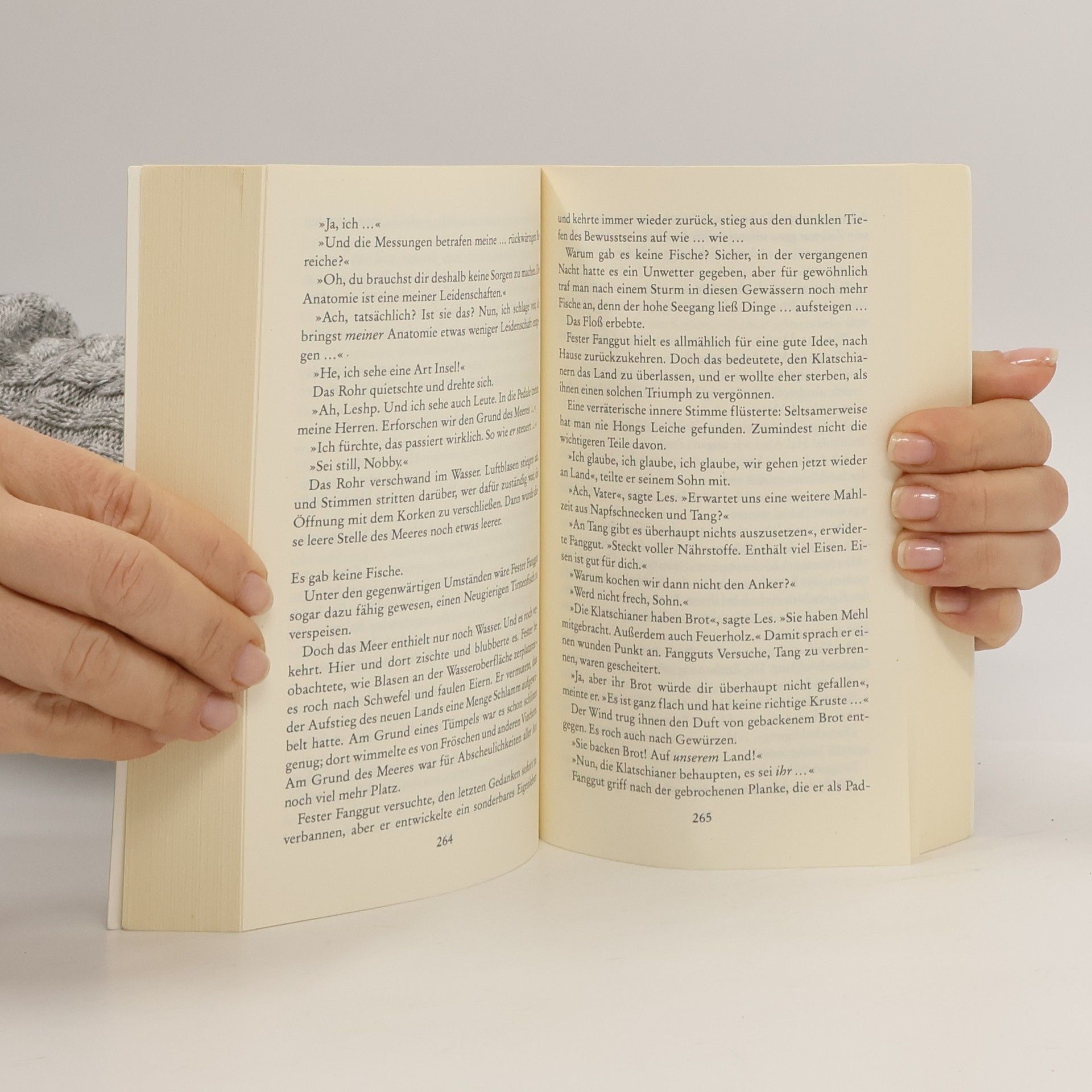 Terry Pratchett Fliegende Fetzen