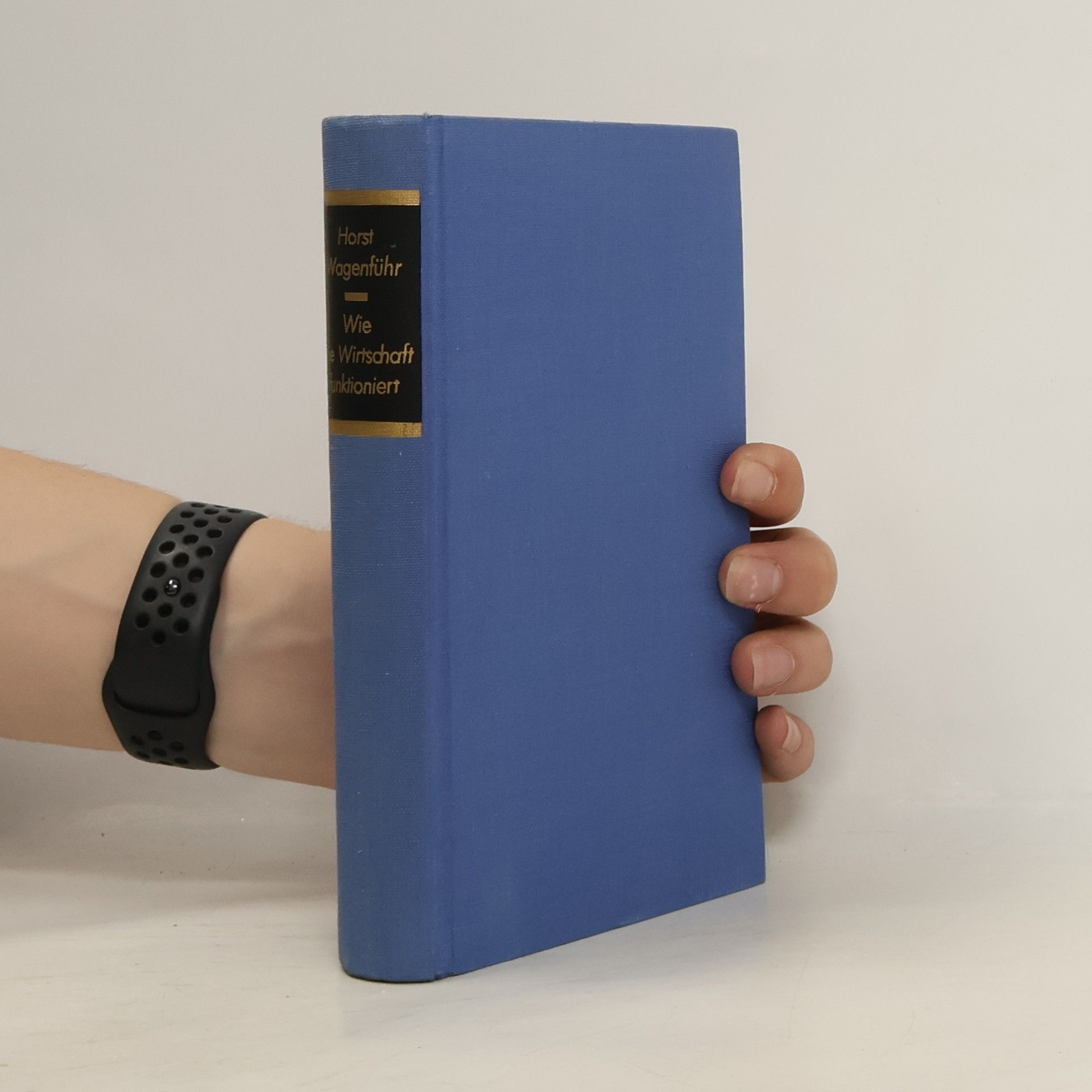 Wie die Wirtschaft funktioniert