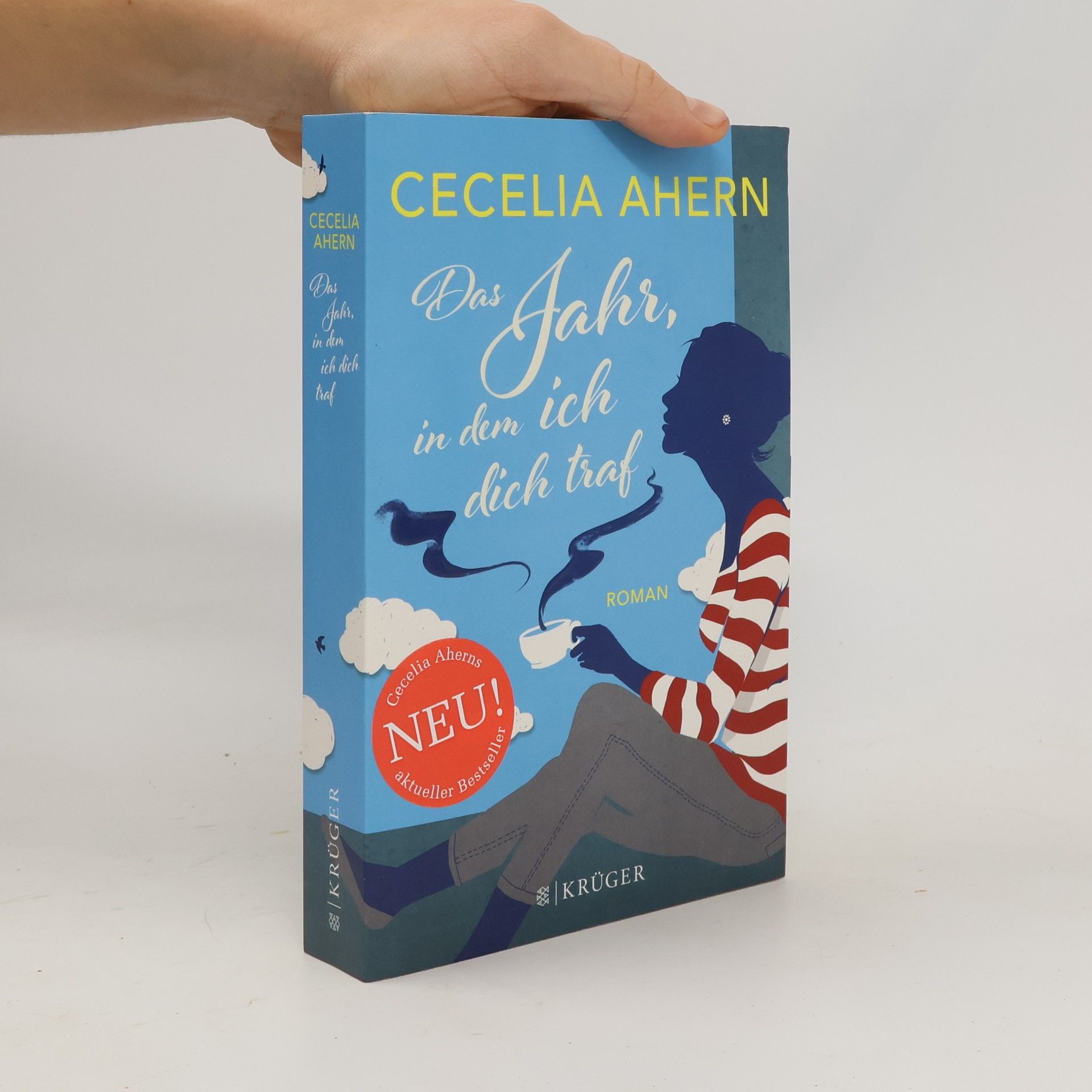 Cecelia Ahern Das Jahr, in dem ich dich traf