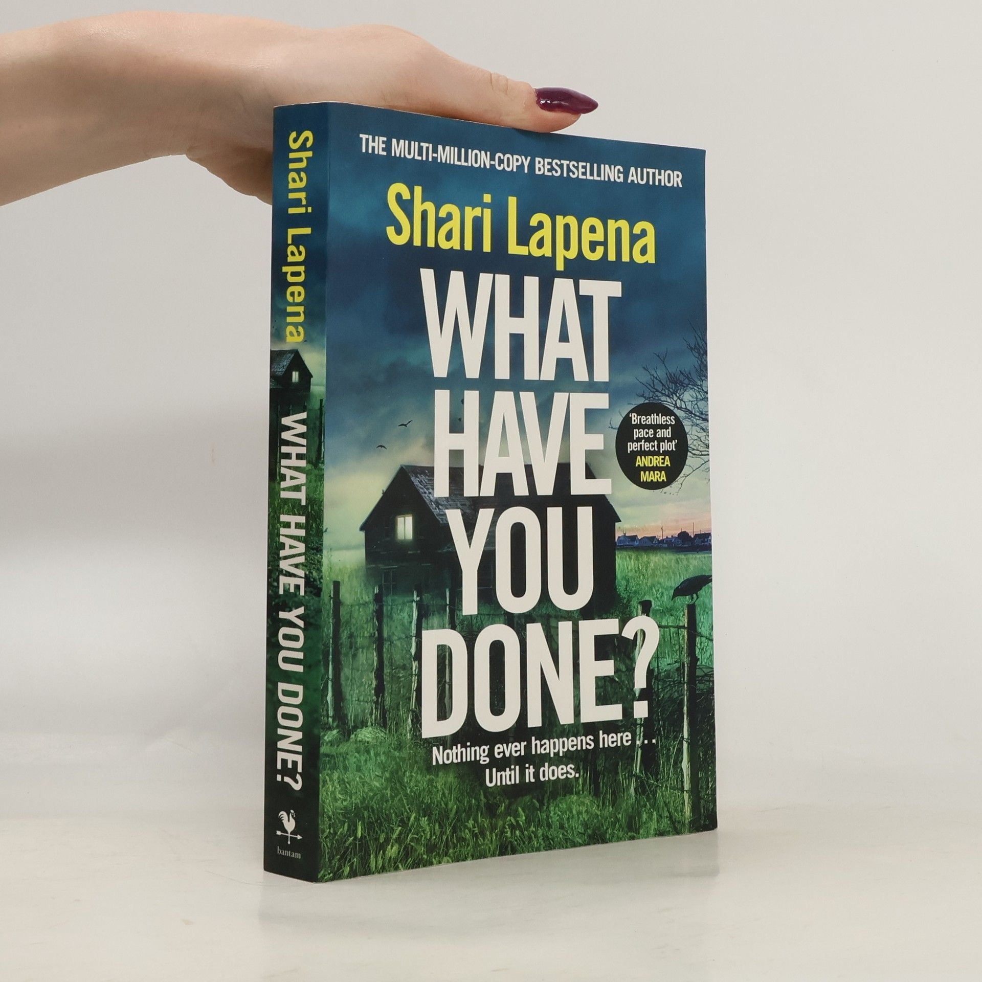 What Have You Done?: The addictive and haunting new thriller from the Richard & Judy bestselling author