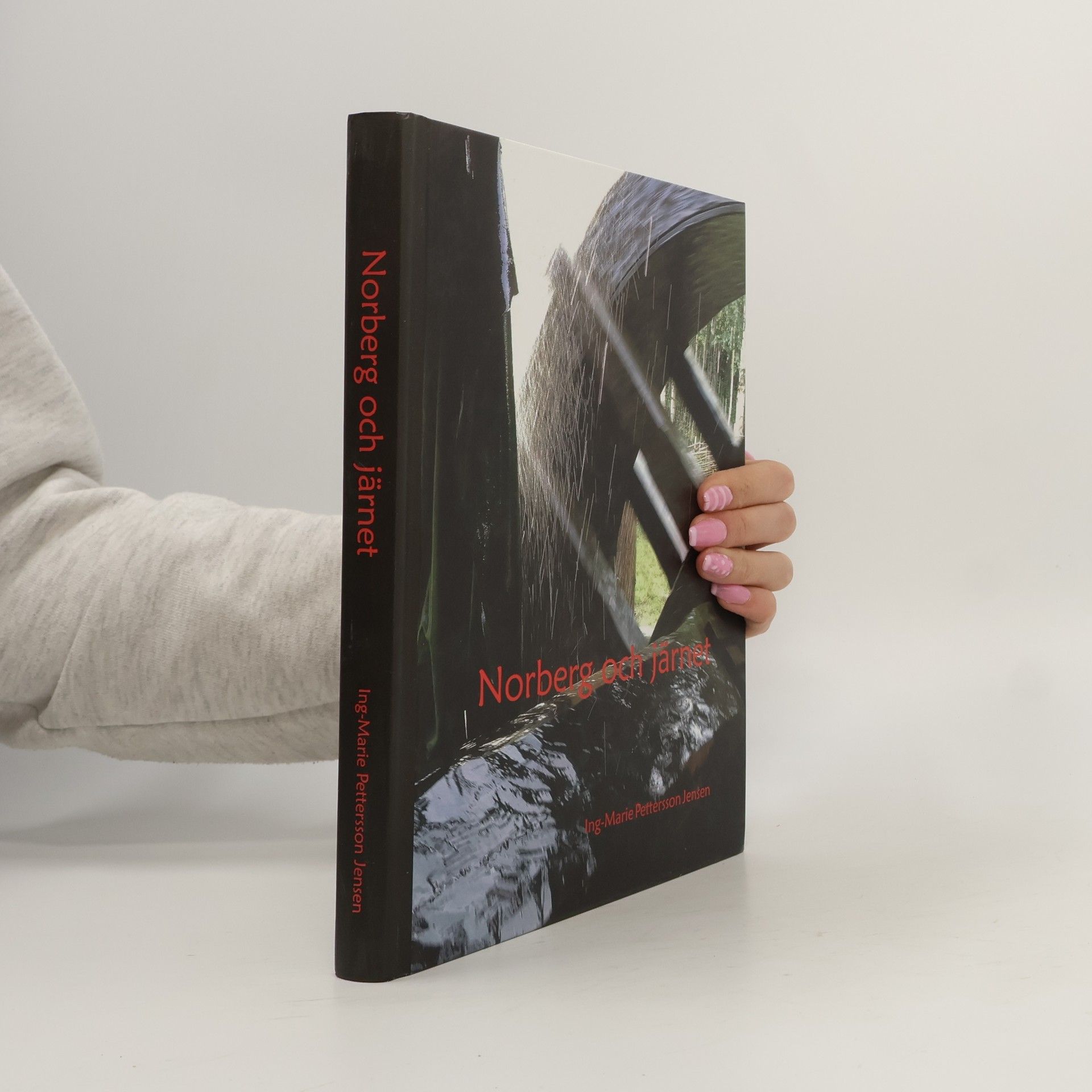 Ing-Marie Pettersson Jensen Norberg och järnet