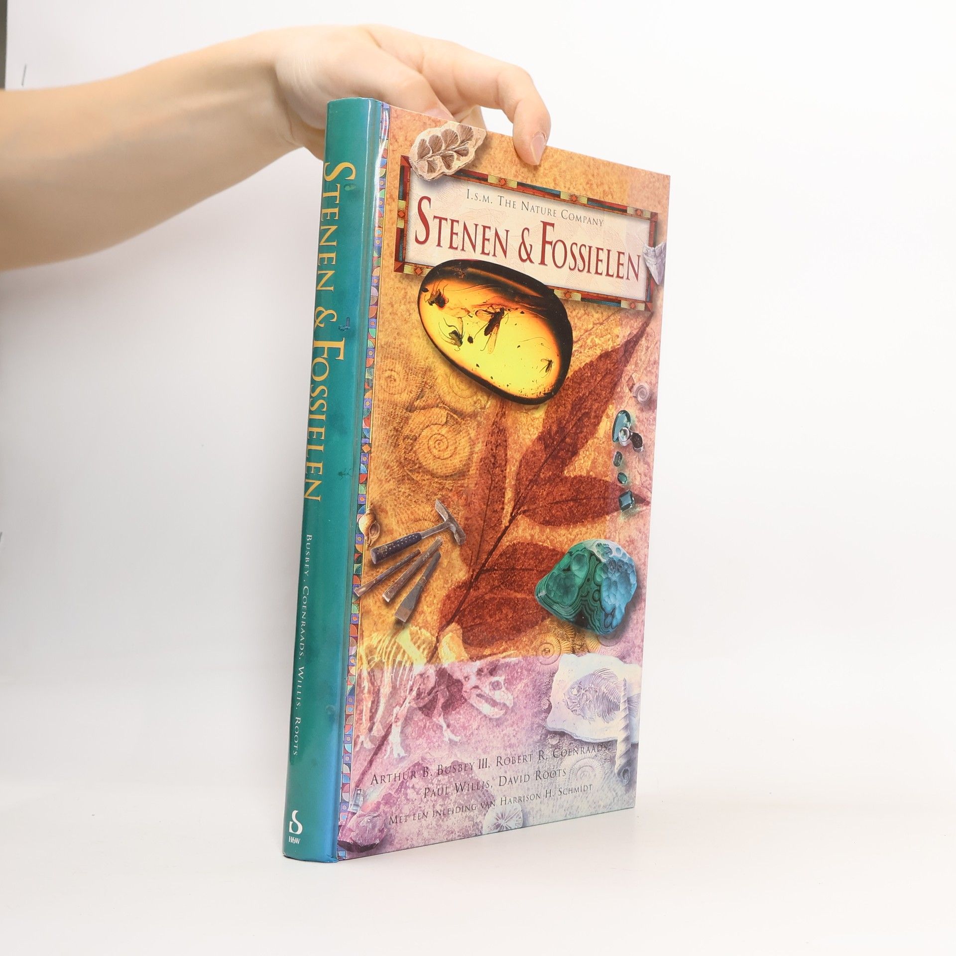 Stenen en Fossielen