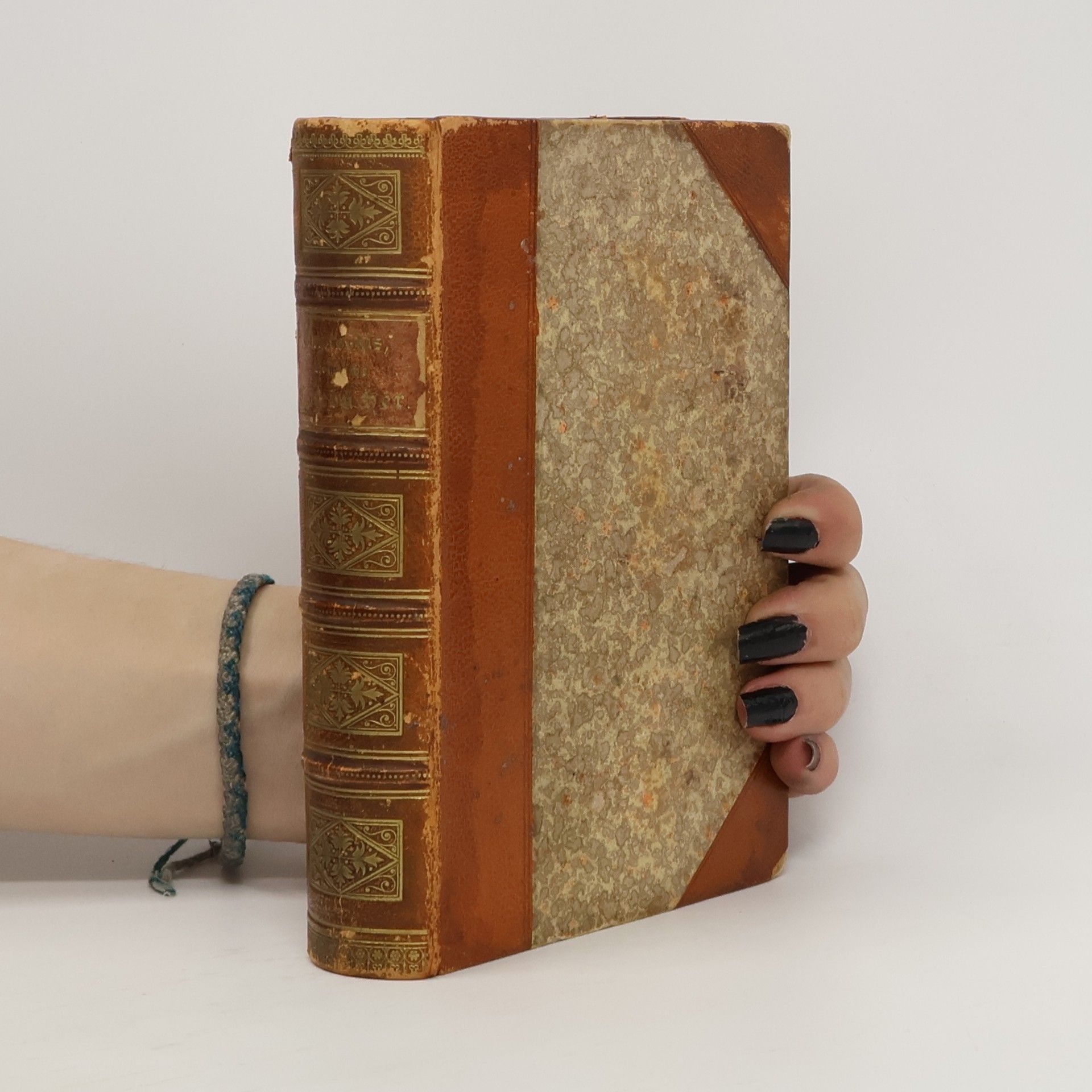 Ferdinand Gregorovius Römische Tagebücher