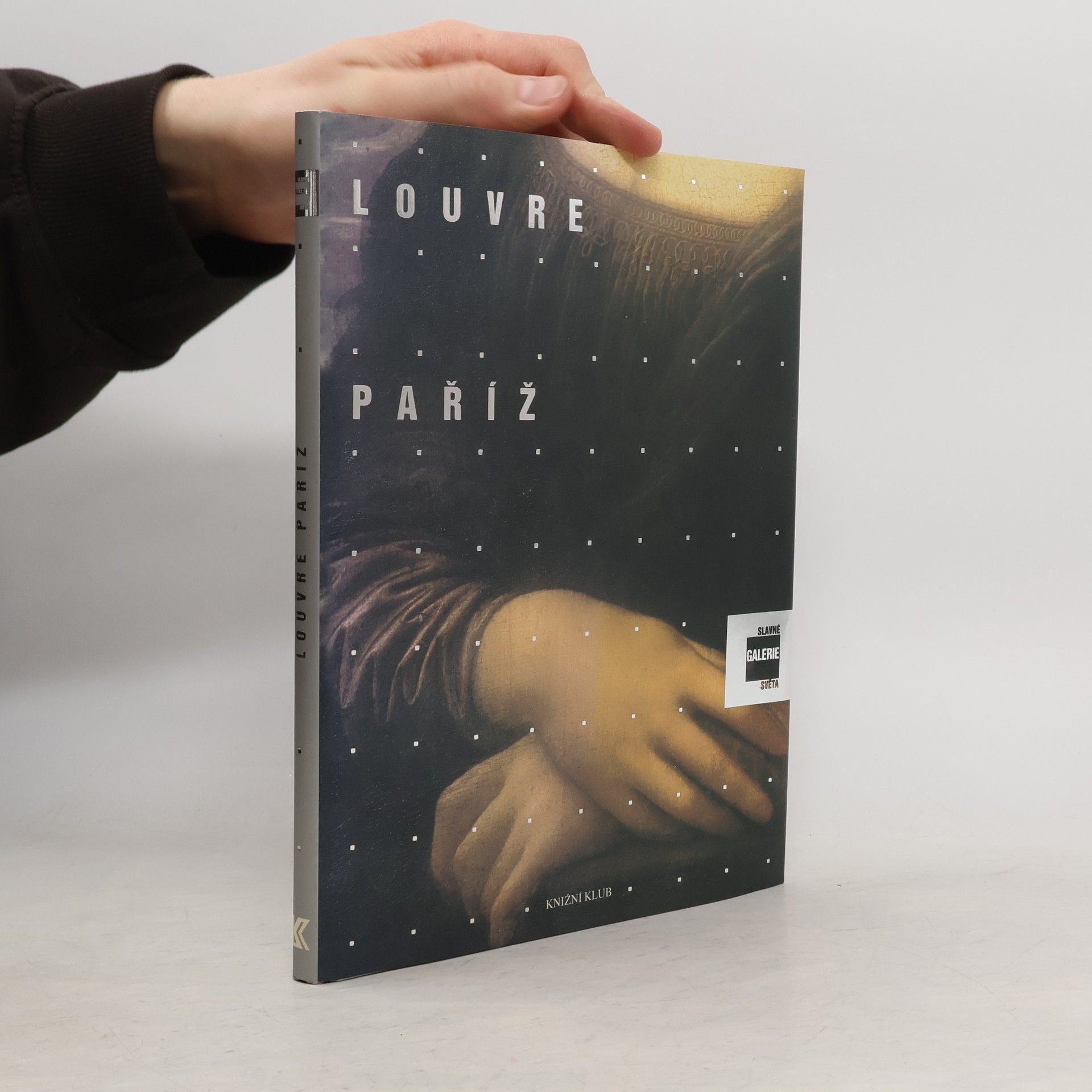 Alessandra Fregolent Slavné galerie světa. Louvre - Paříž