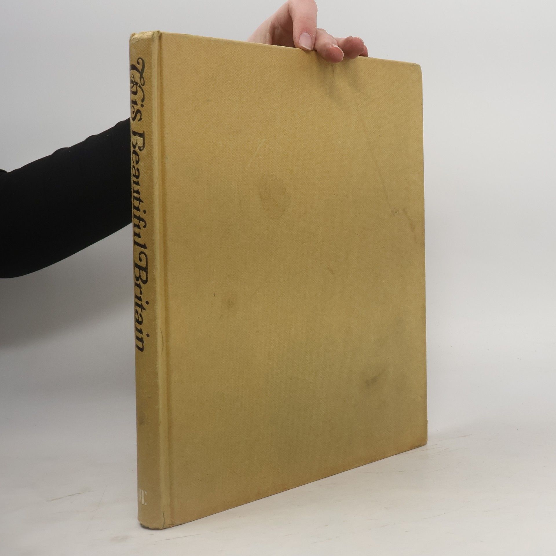 Autorenkollektiv This Beautiful Britain