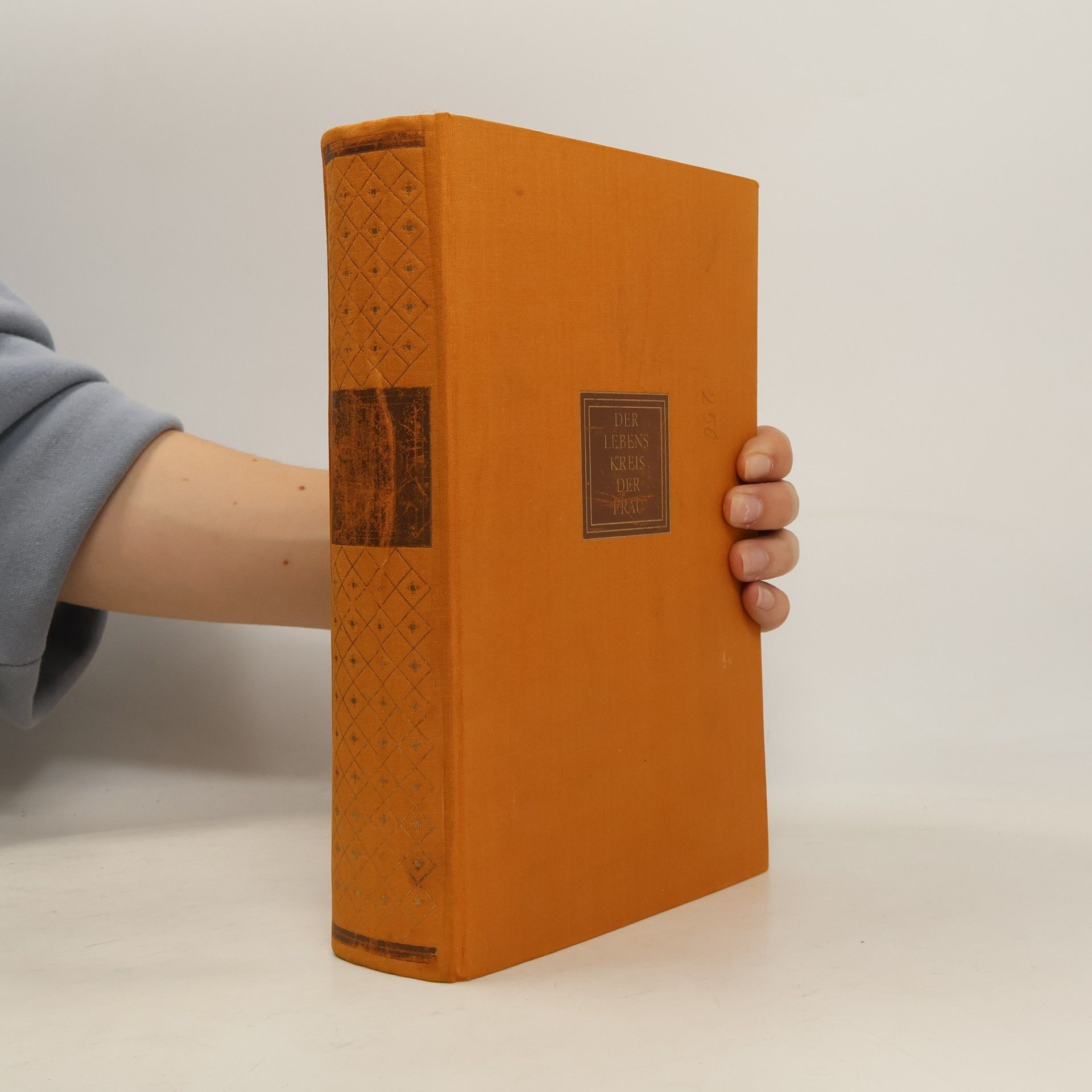 Autorenkollektiv Der lebens kreis der frau