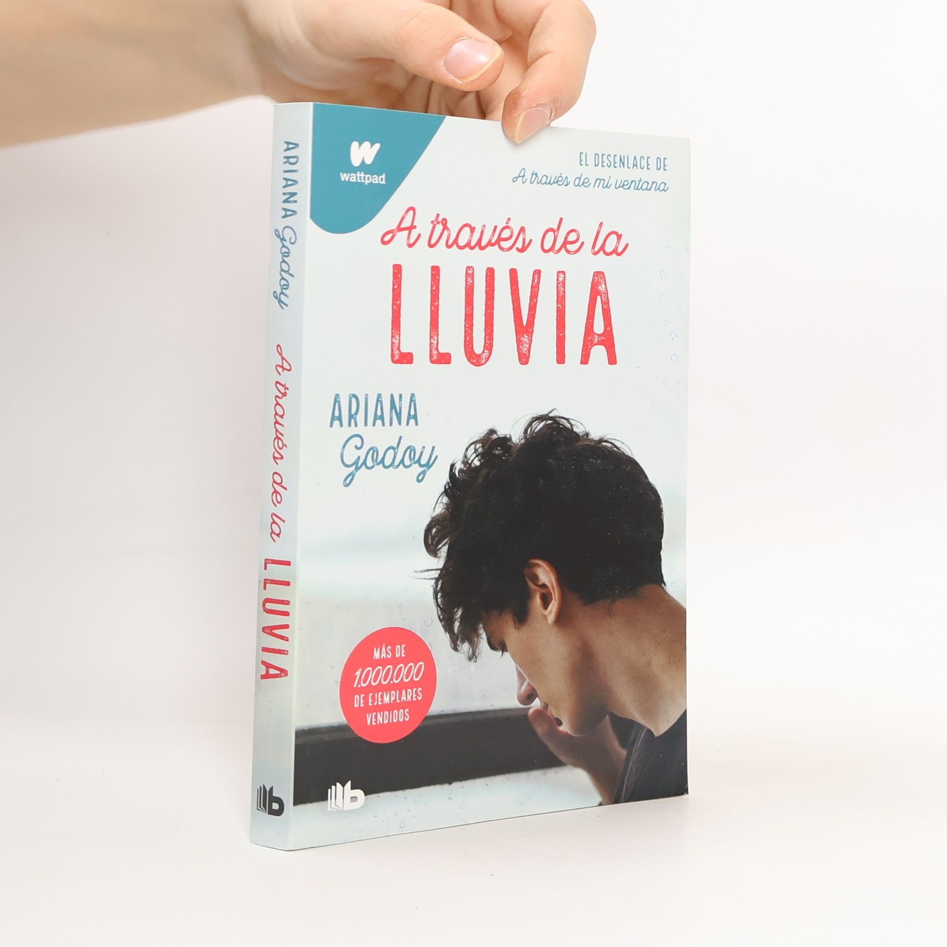 B De Bolsillo A través de la lluvia (edición revisada por la autora) (Trilogía Hermanos Hidalgo 3)