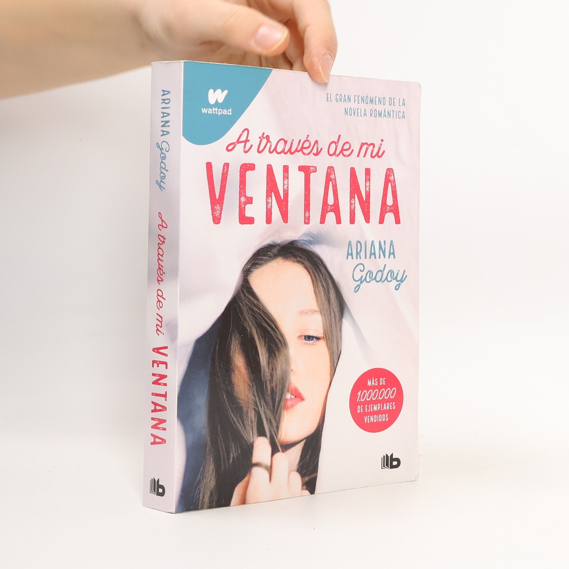 Ariana Godoy Trilogía Hermanos Hidalgo - 1: A través de mi ventana