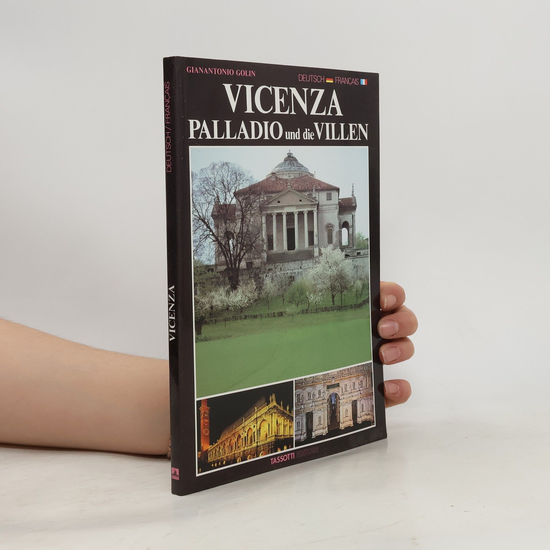 Gianantonio Golin Vicenza : Palladio und die Villen = Vicence : Palladio et les villas