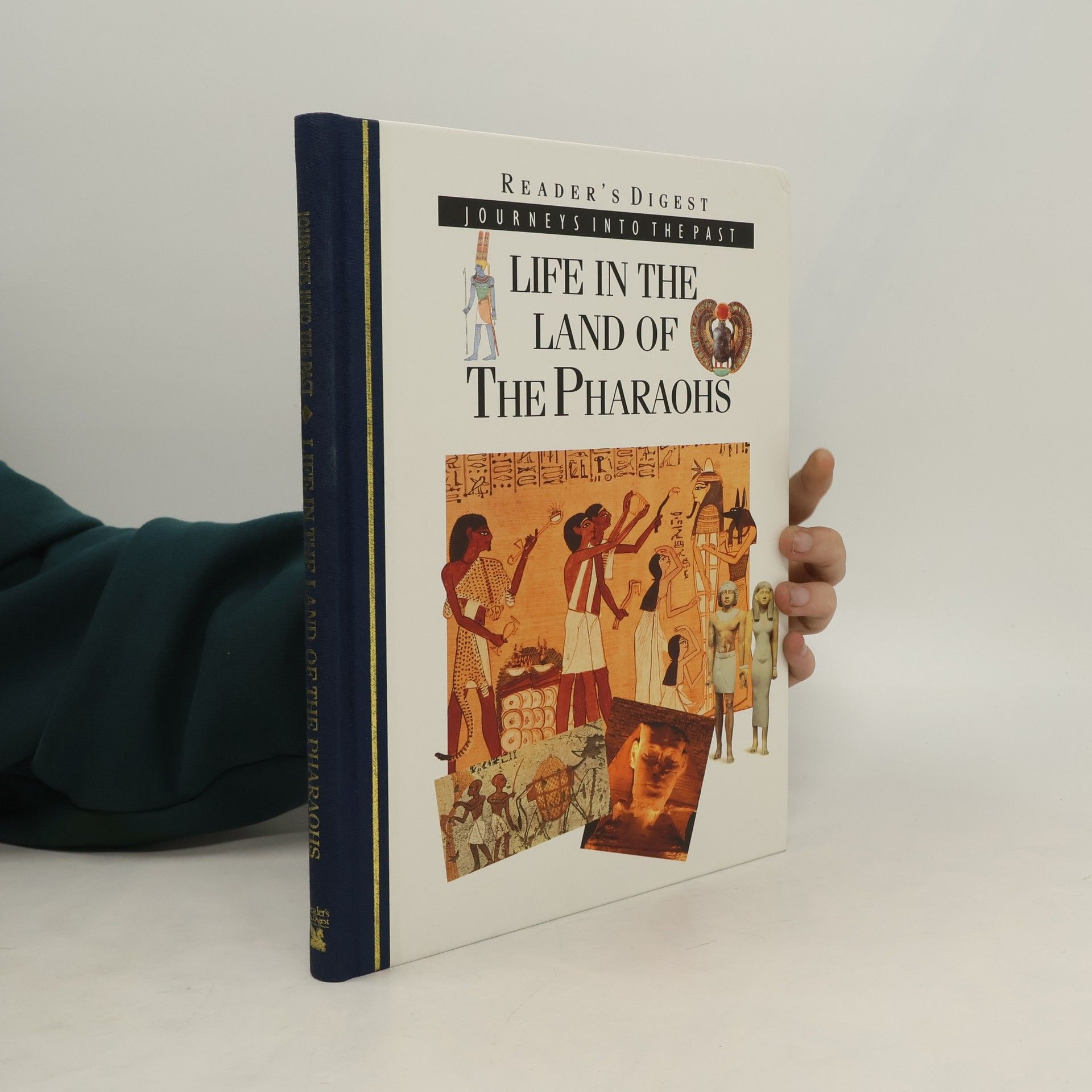 Tim Healey Life in the Land of the Pharaohs
