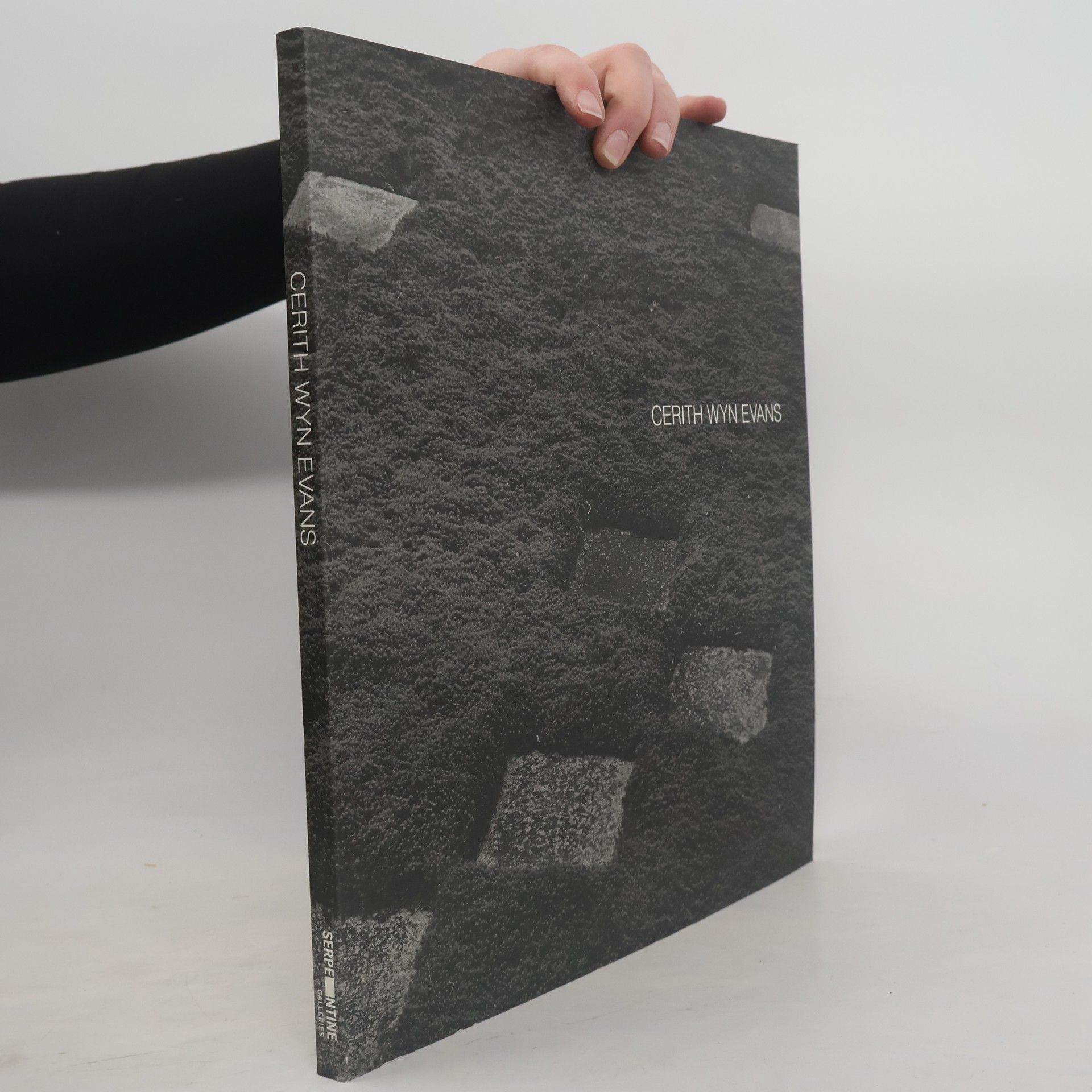 Kolektiv autorů Cerith Wyn Evans