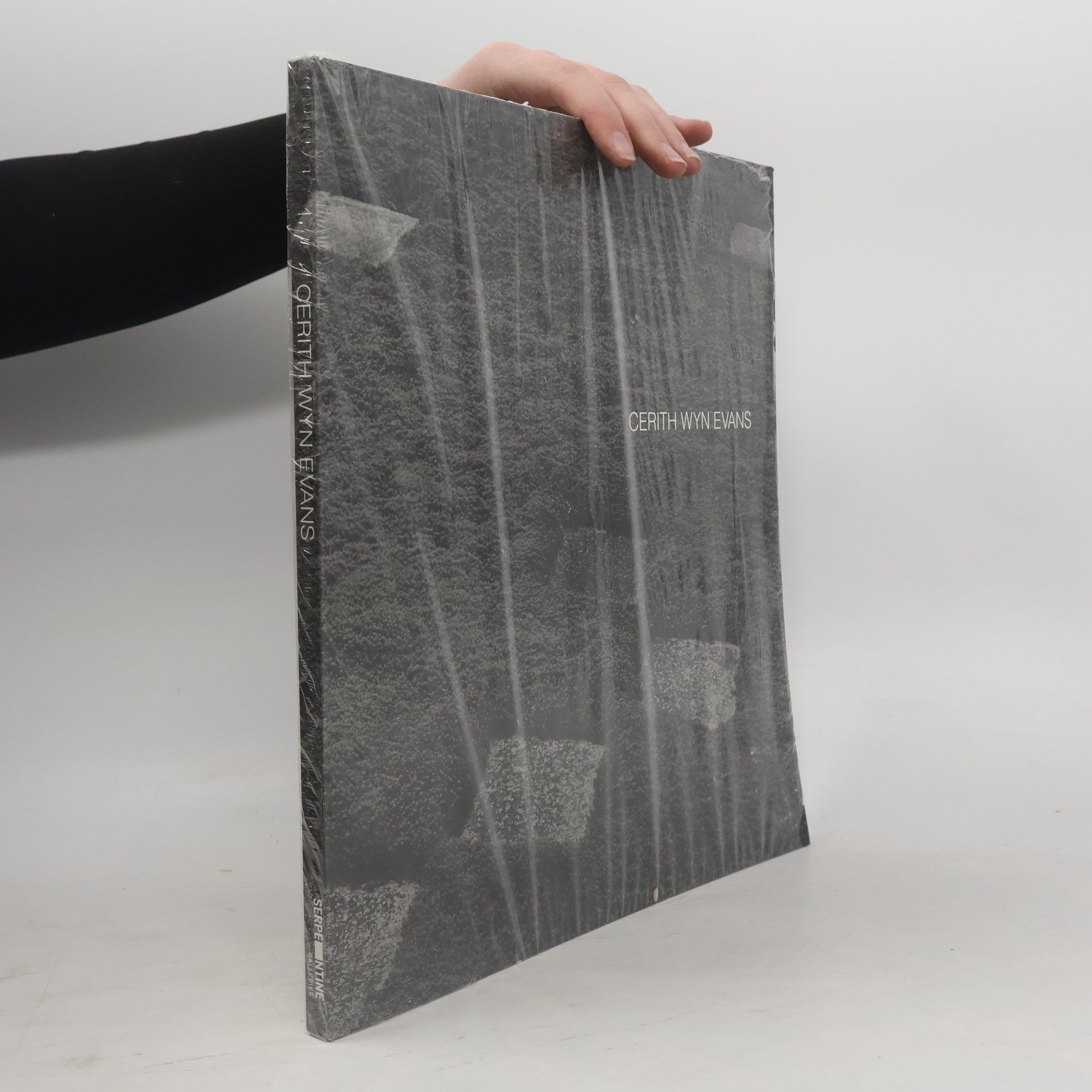 Hélène Cixousová Cerith Wyn Evans