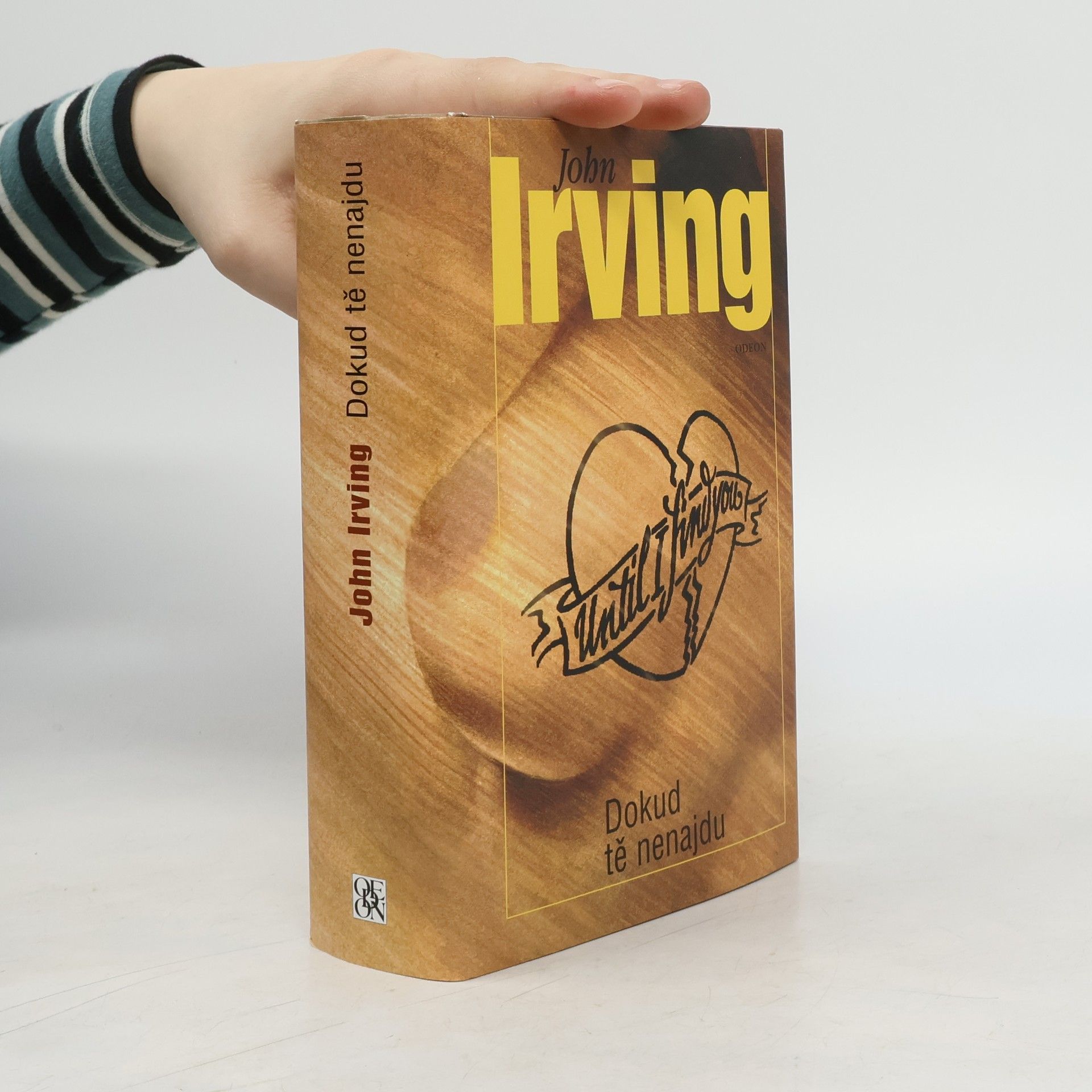 John Irving Dokud tě nenajdu