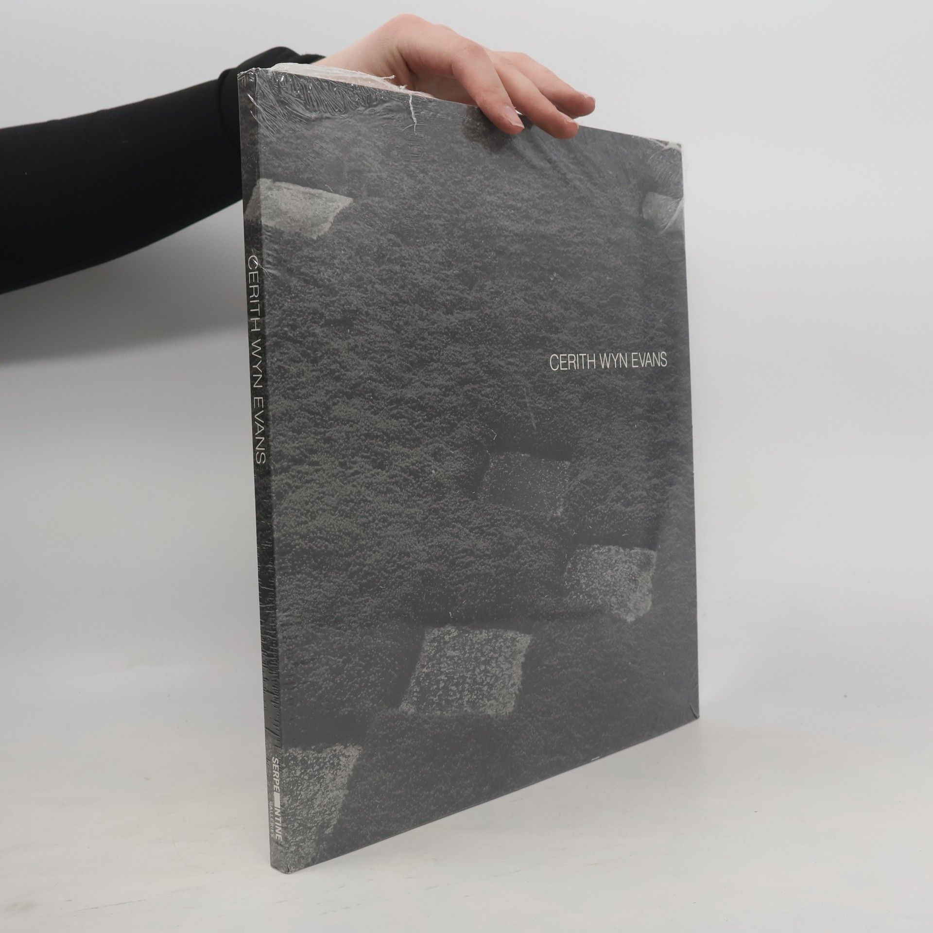 Hélène Cixous Cerith Wyn Evans