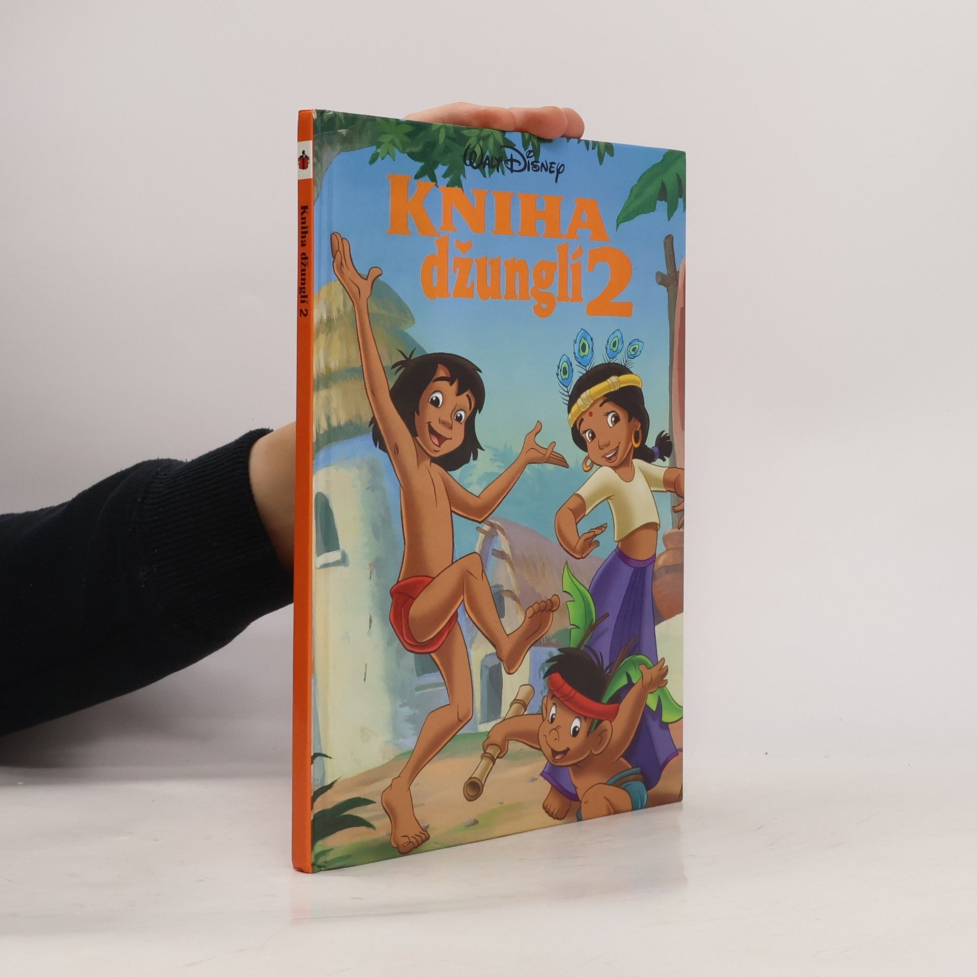 Kolektiv autorů Kniha džunglí 2