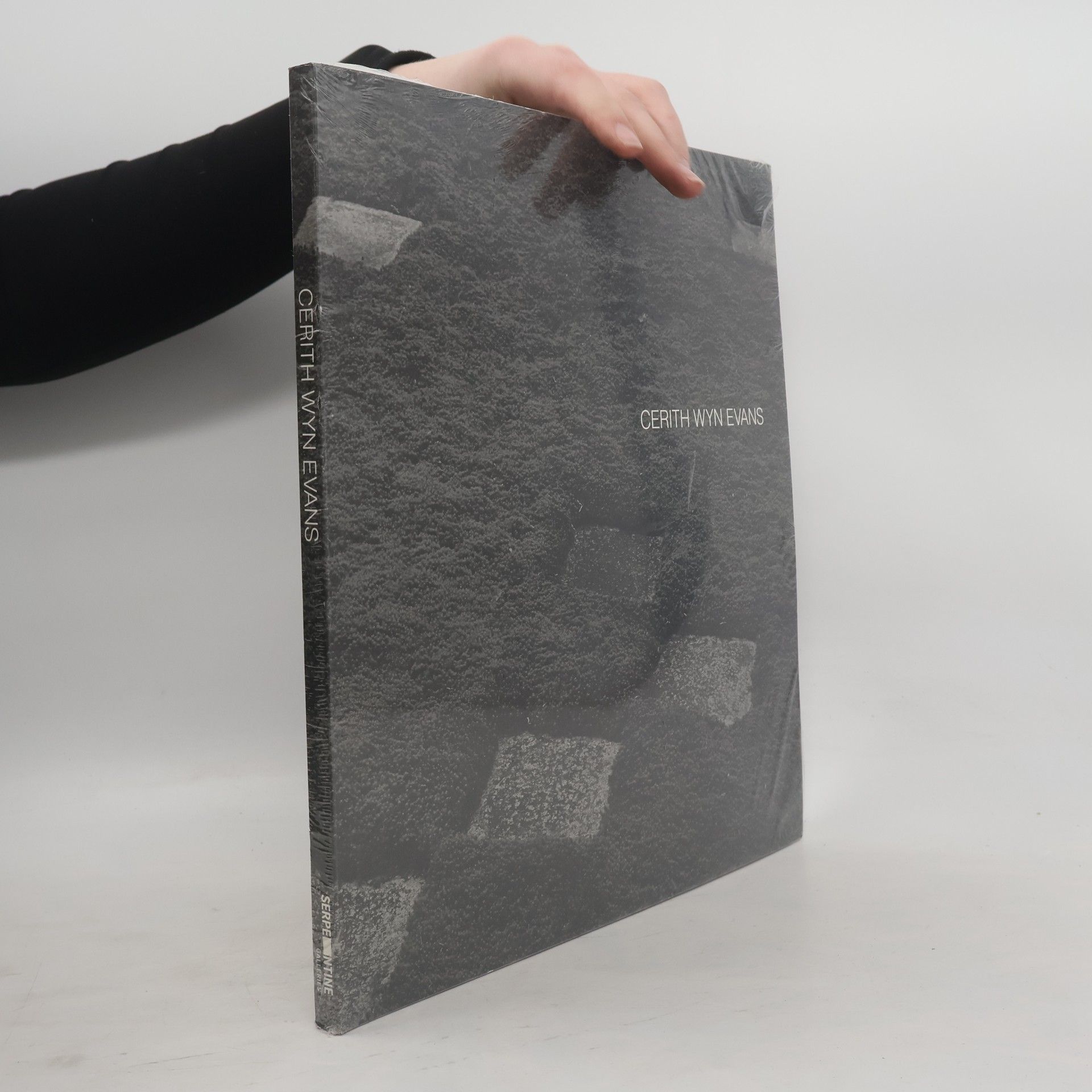 Hélène Cixous Cerith Wyn Evans