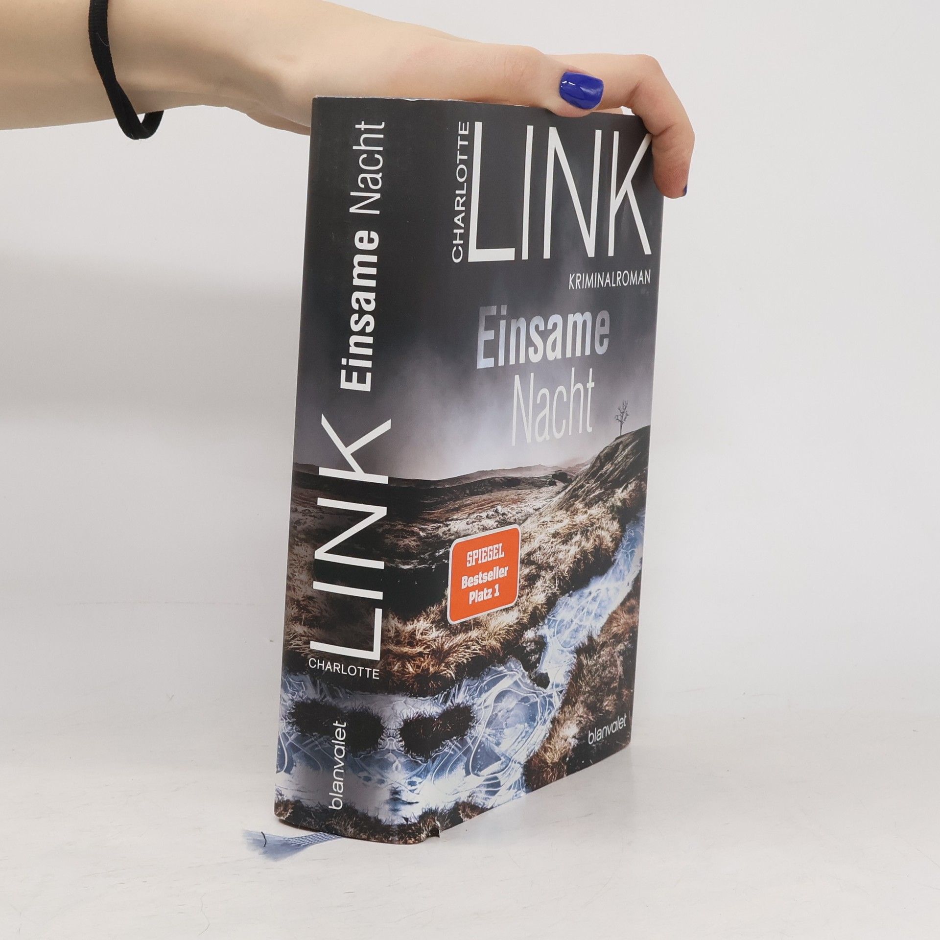 Charlotte Link Einsame Nacht