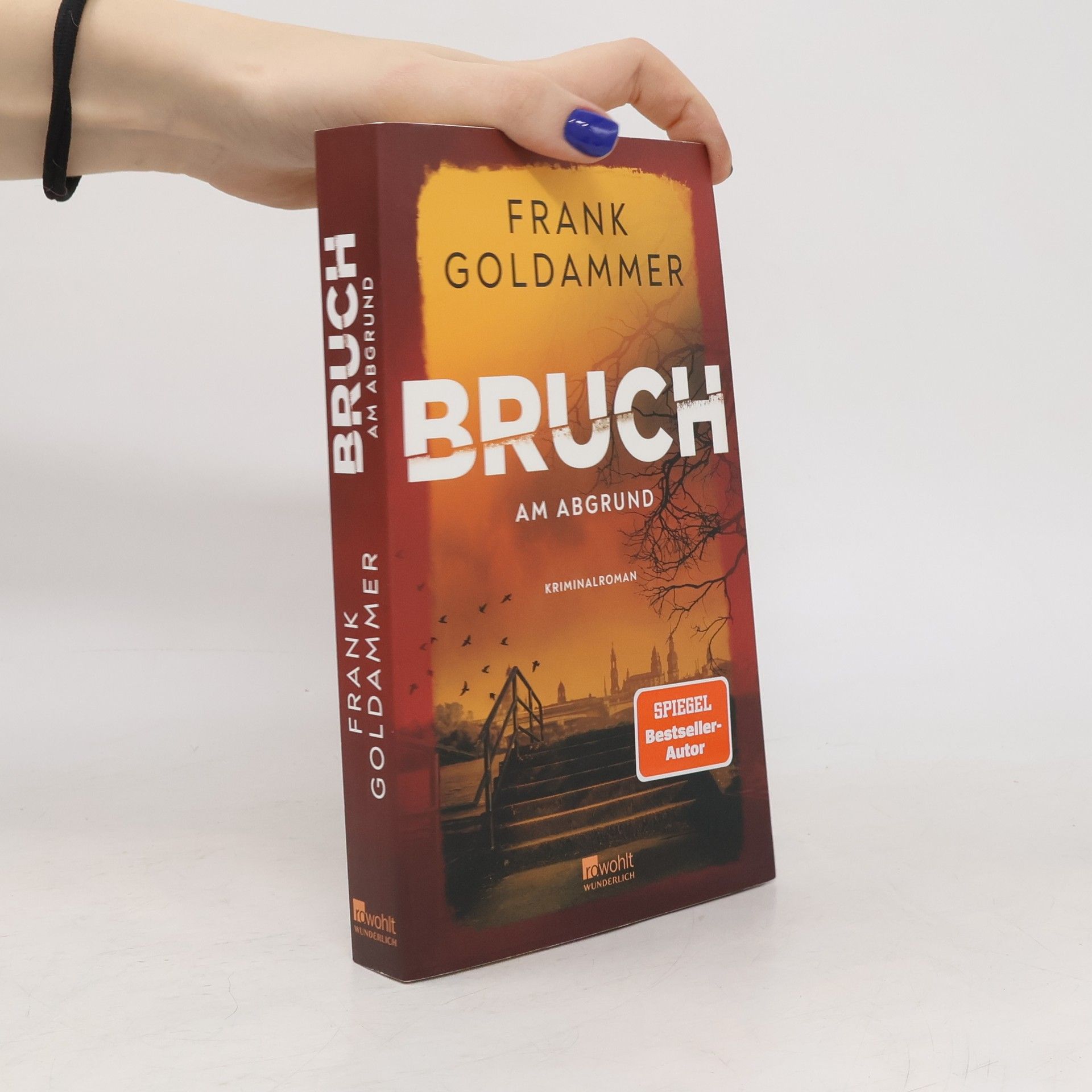 Frank Goldammer Felix Bruch - 4: Bruch: Am Abgrund