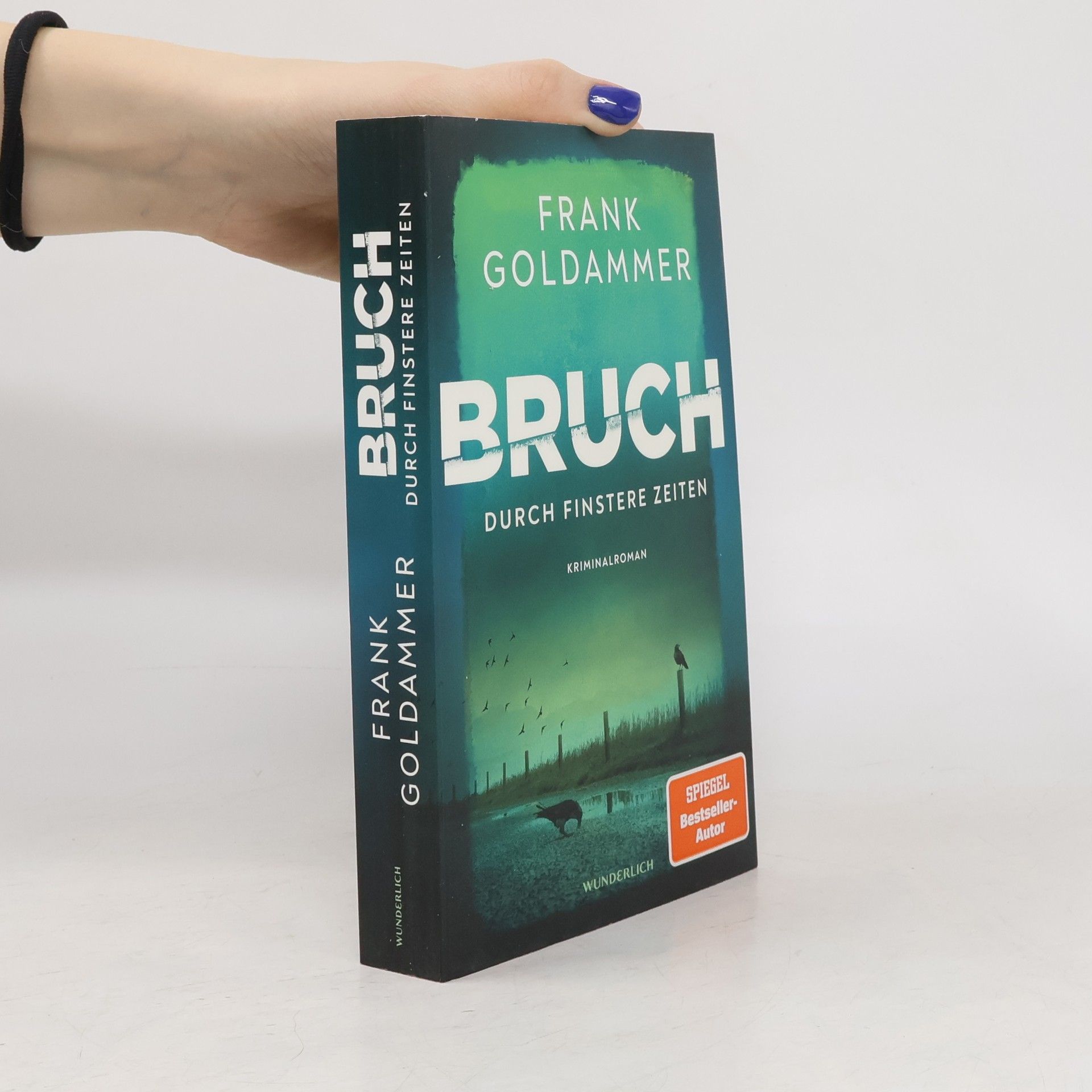 Frank Goldammer Bruch: Durch finstere Zeiten