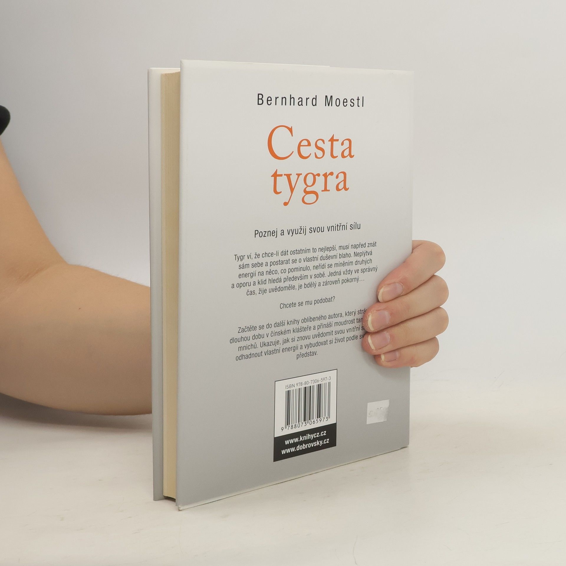Bernhard Moestl Cesta tygra: Poznej a využij svou vnitřní sílu