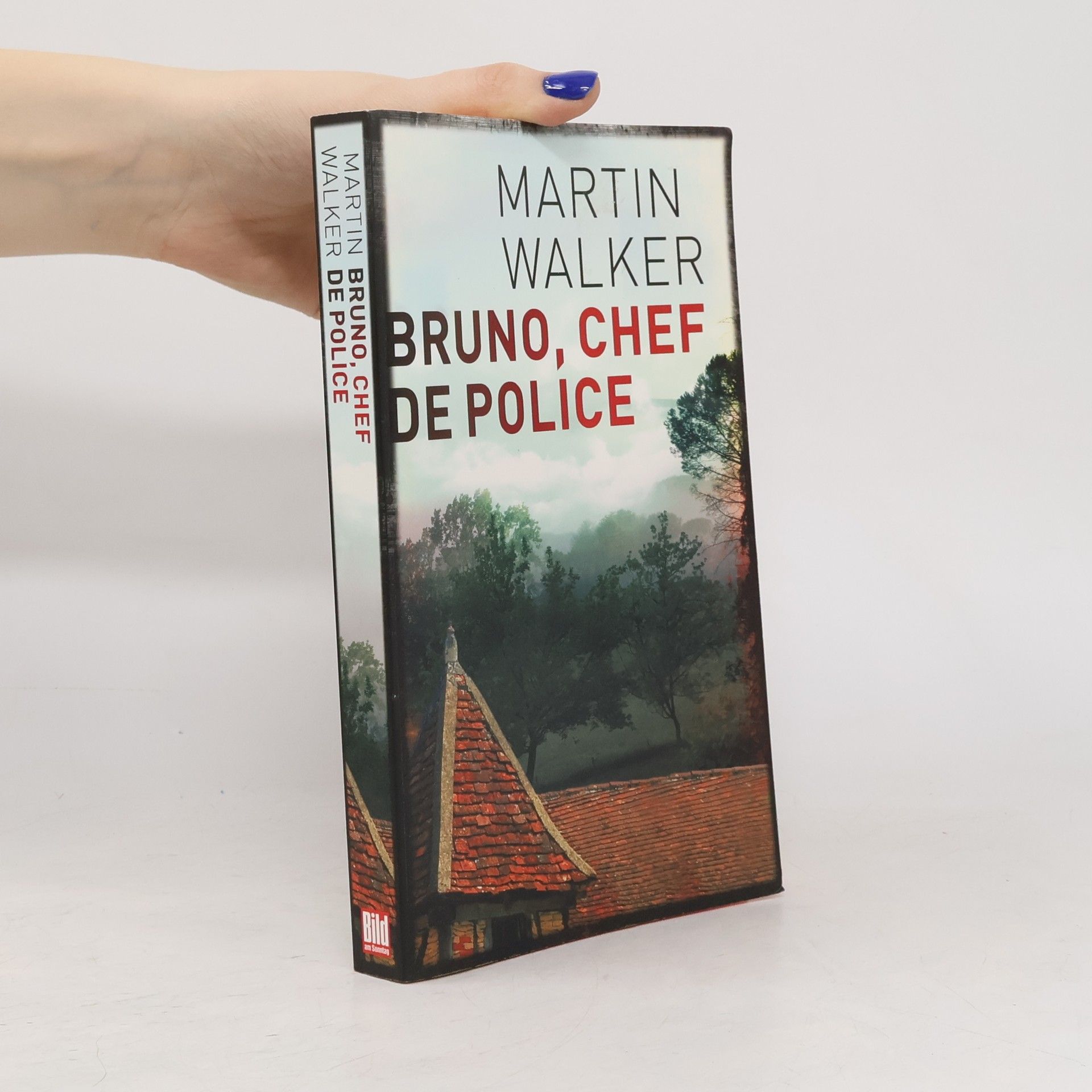Martin Walker Bruno, Chef de police