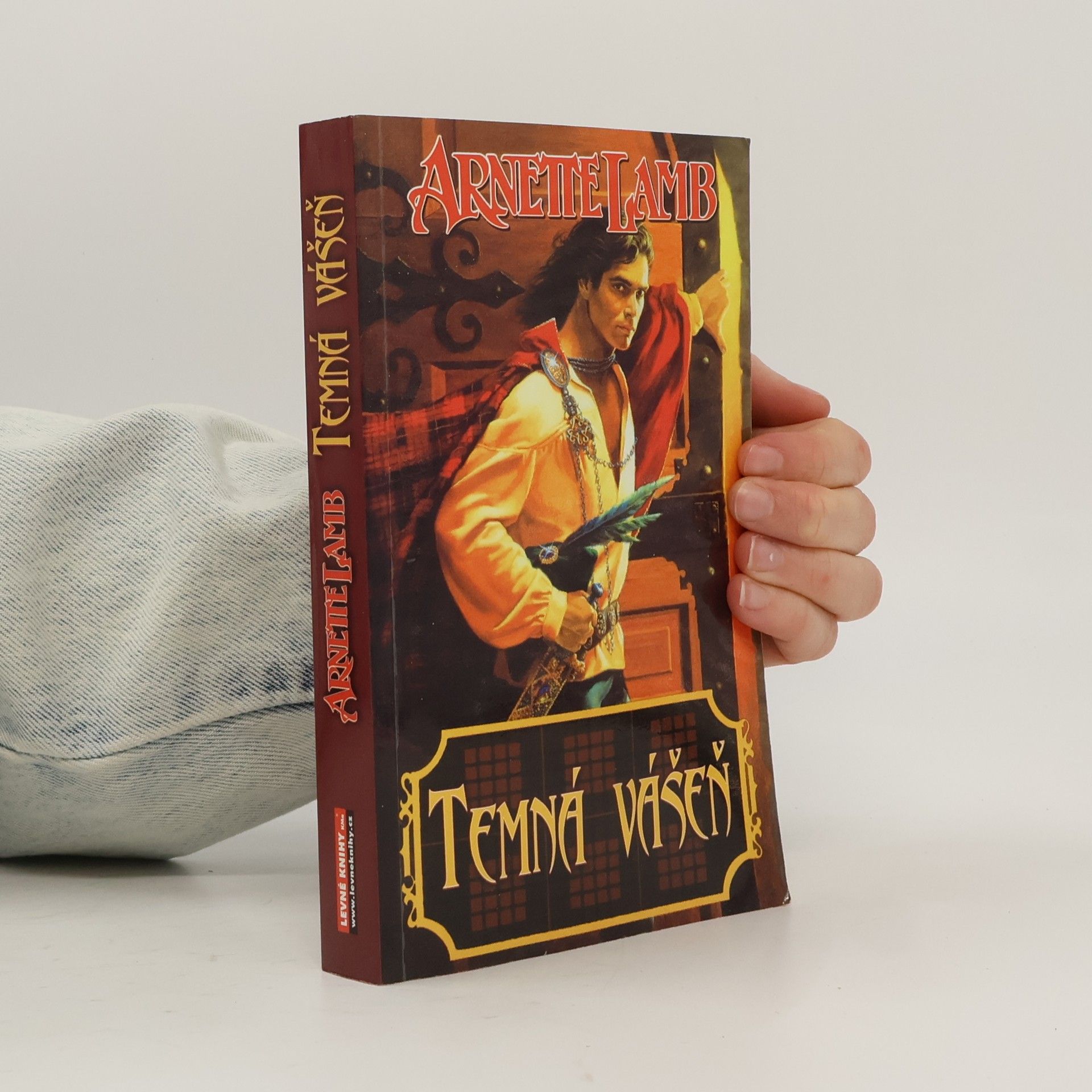 Arnette Lamb Temná vášeň