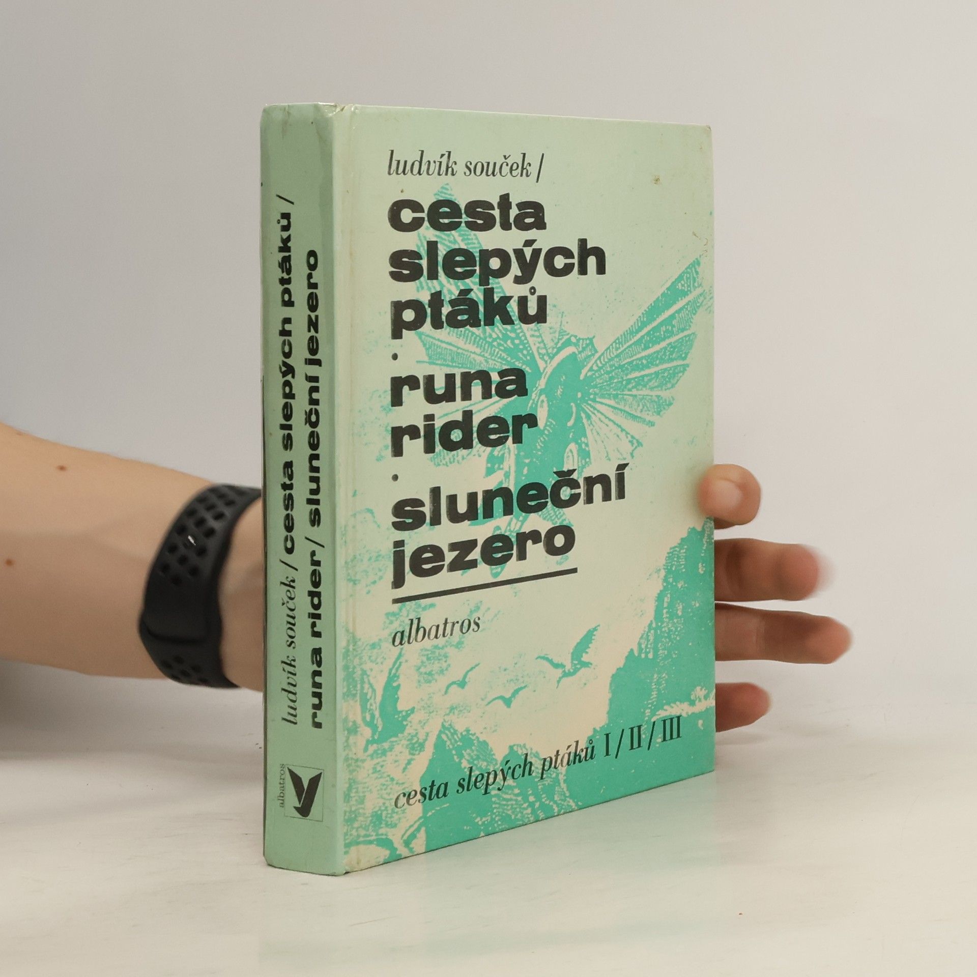 Ludvík Souček Cesta slepých ptáků, Runa rider, Sluneční jezero