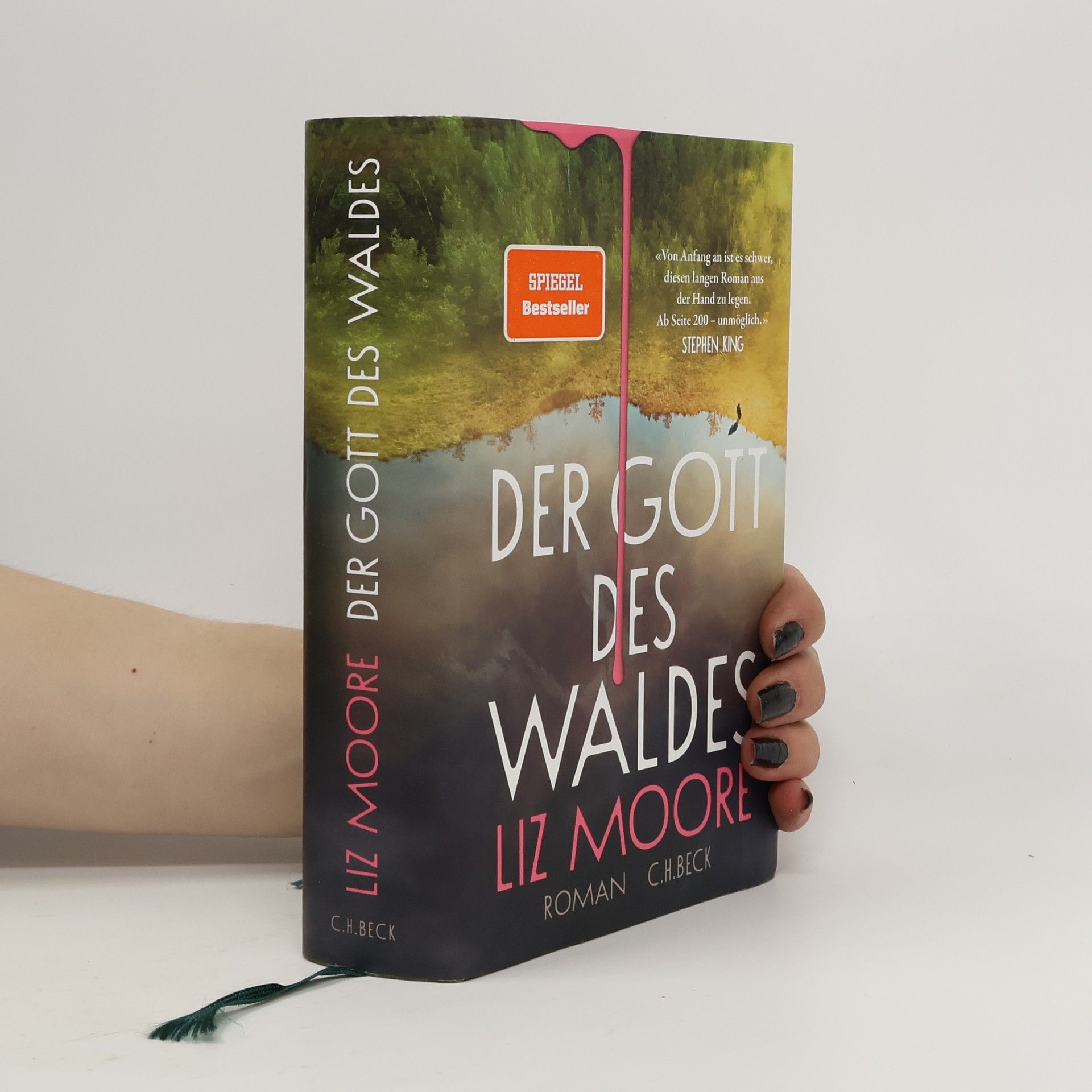 Liz Moore Der Gott des Waldes