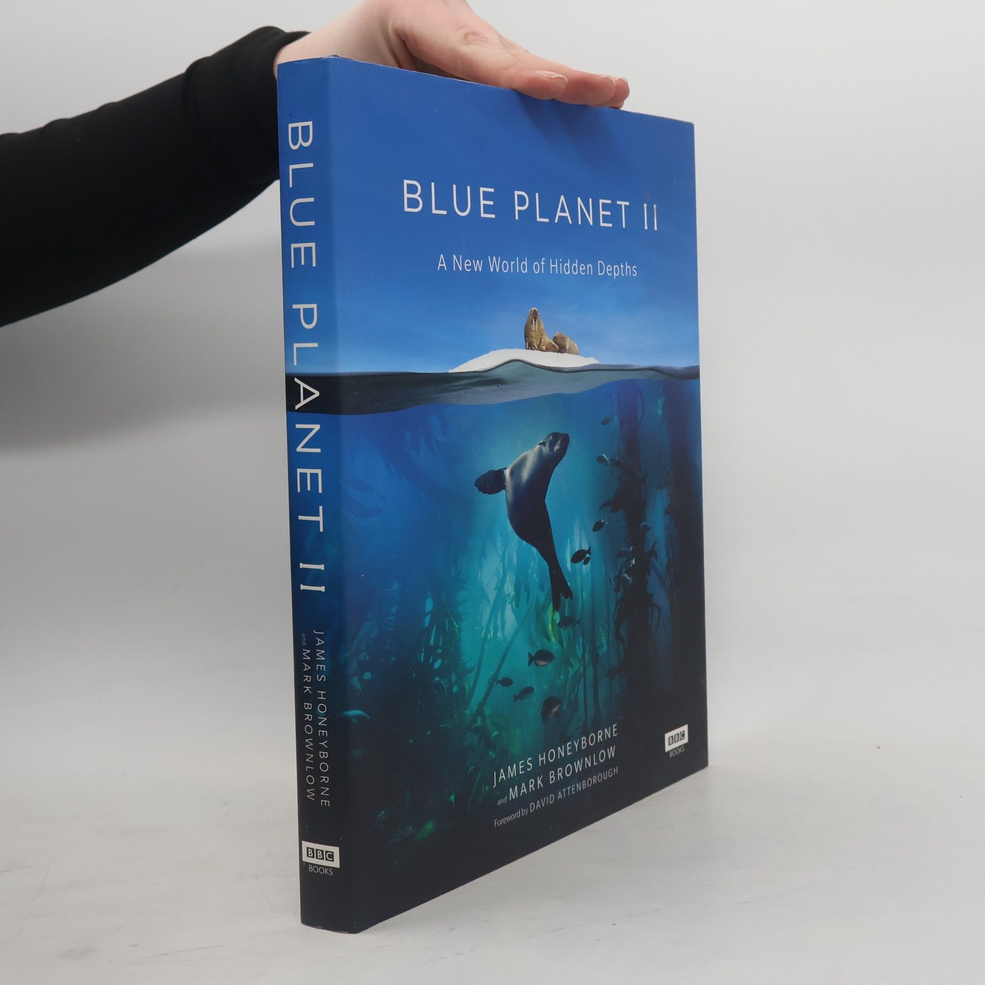 Mark Brownlow Blue Planet II